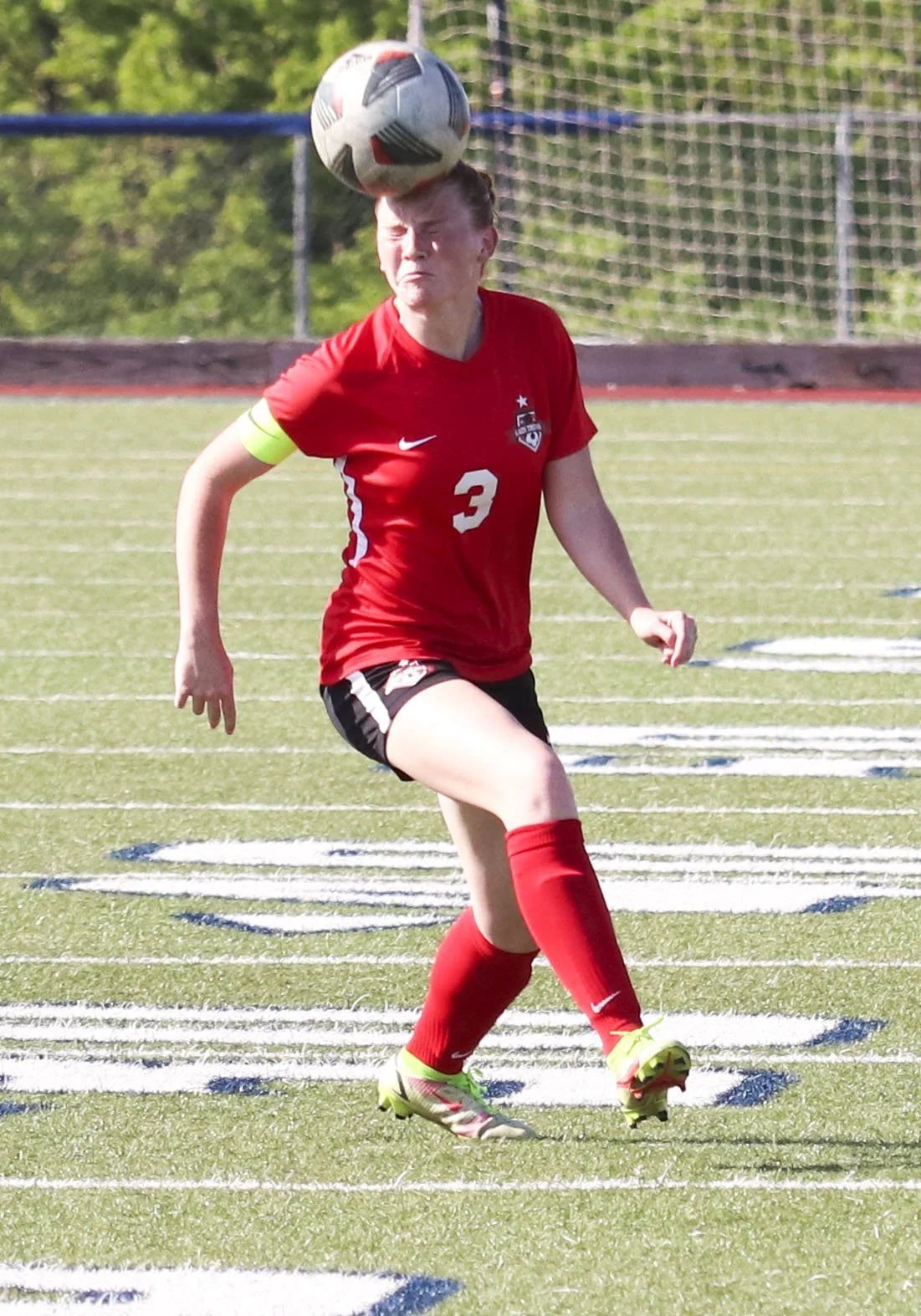 Darcy Cato header.jpg