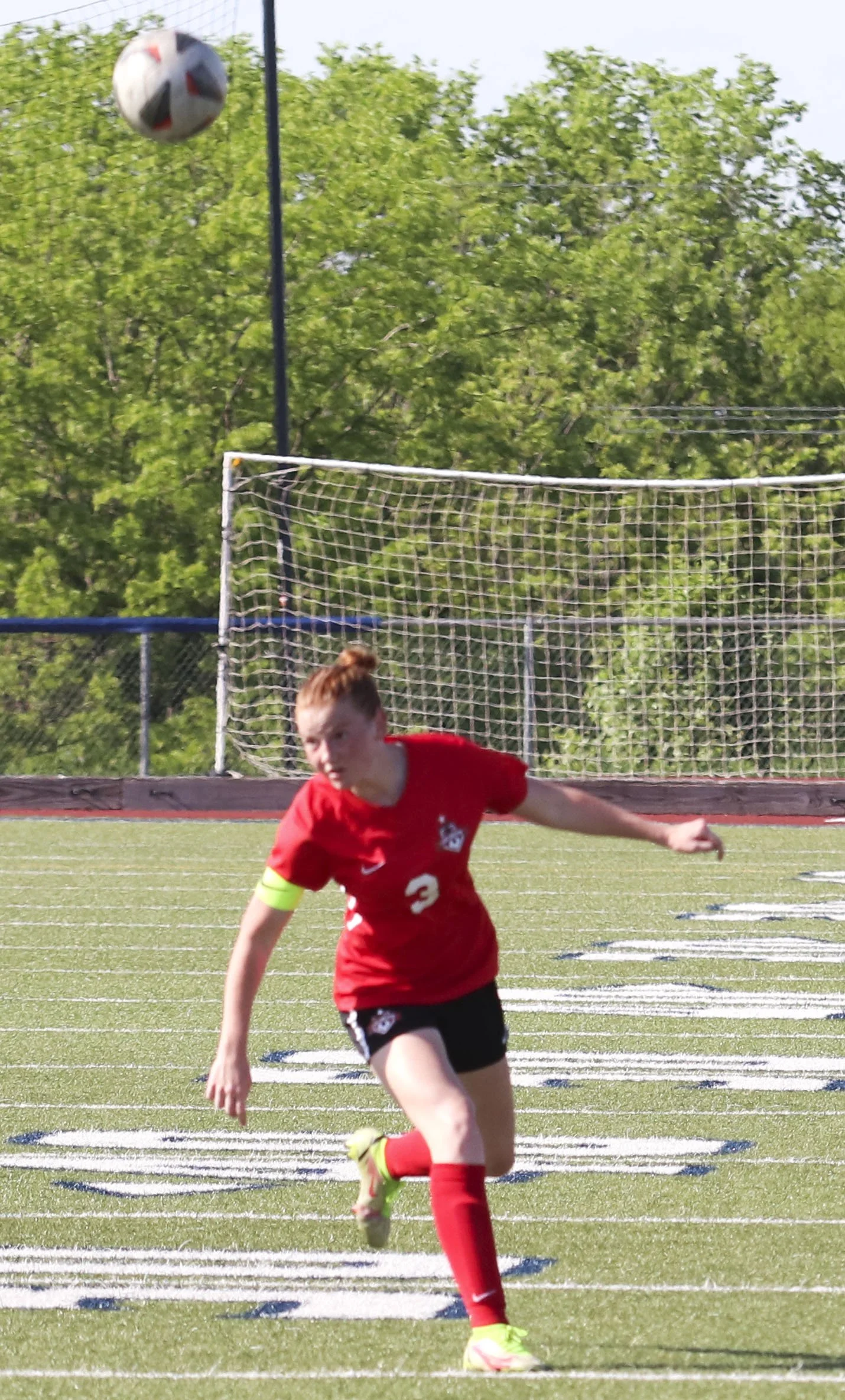 Darcy Cato header_1.jpg