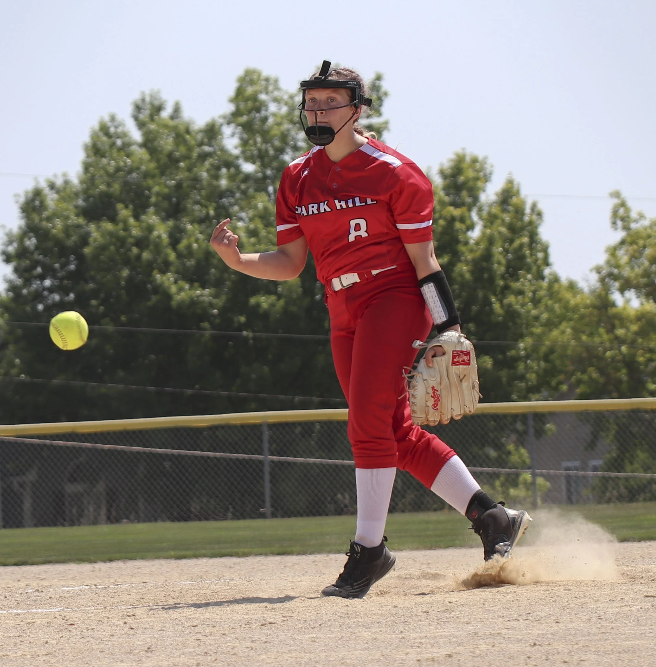 #8 pitch_4.jpg