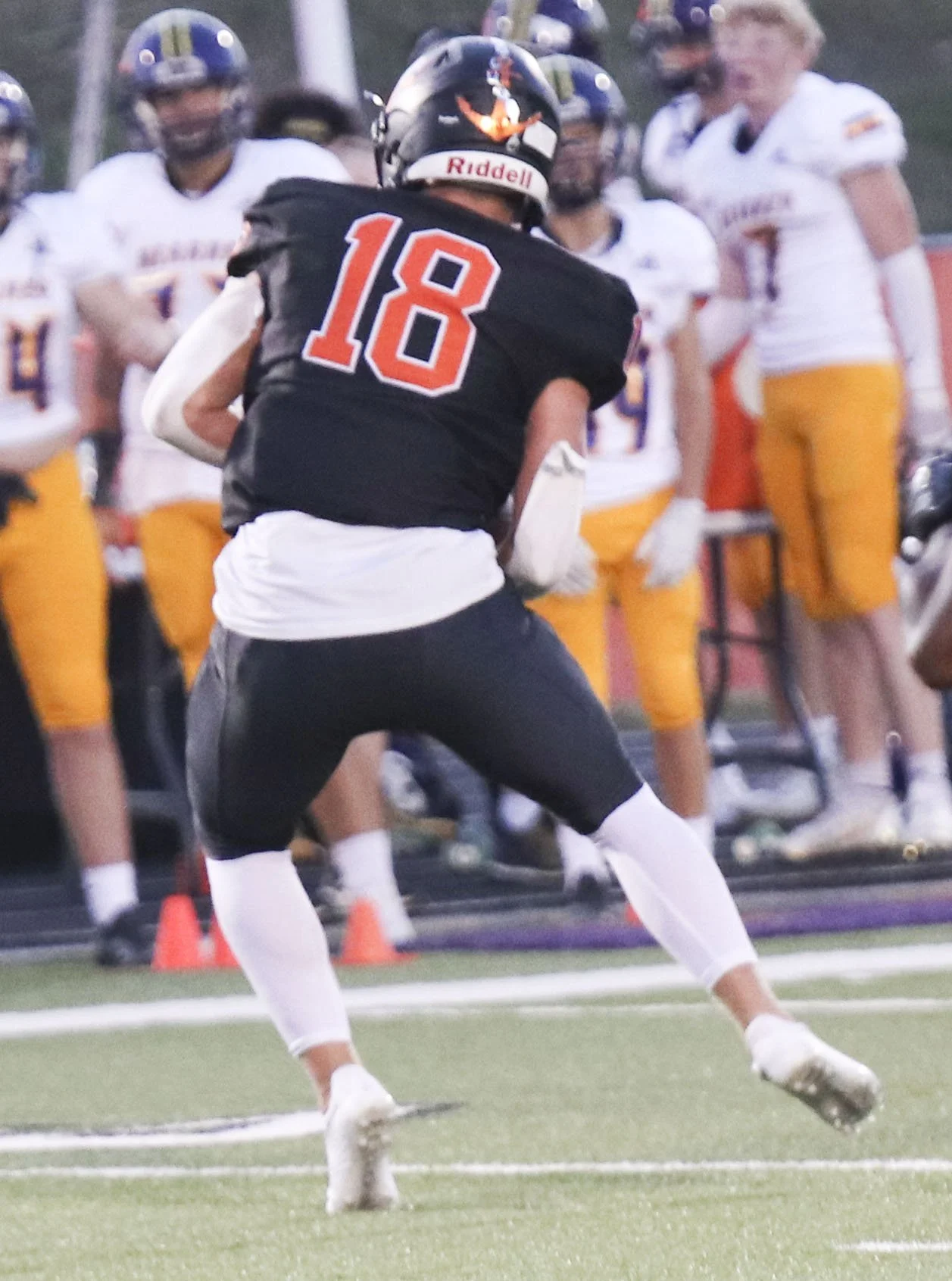 Cameron Wolfe int_1.jpg