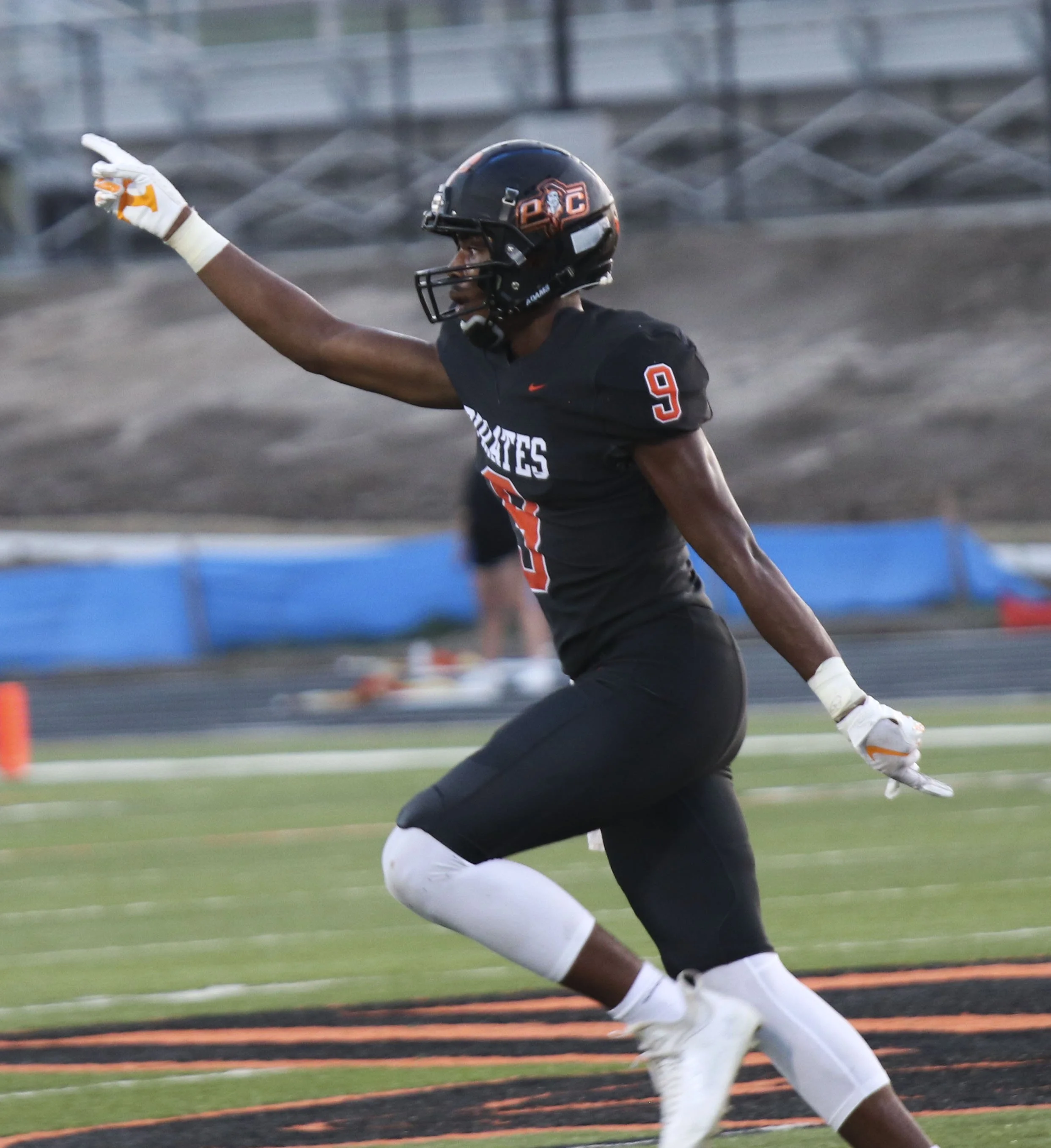 Chandavian Bradley point_4.jpg