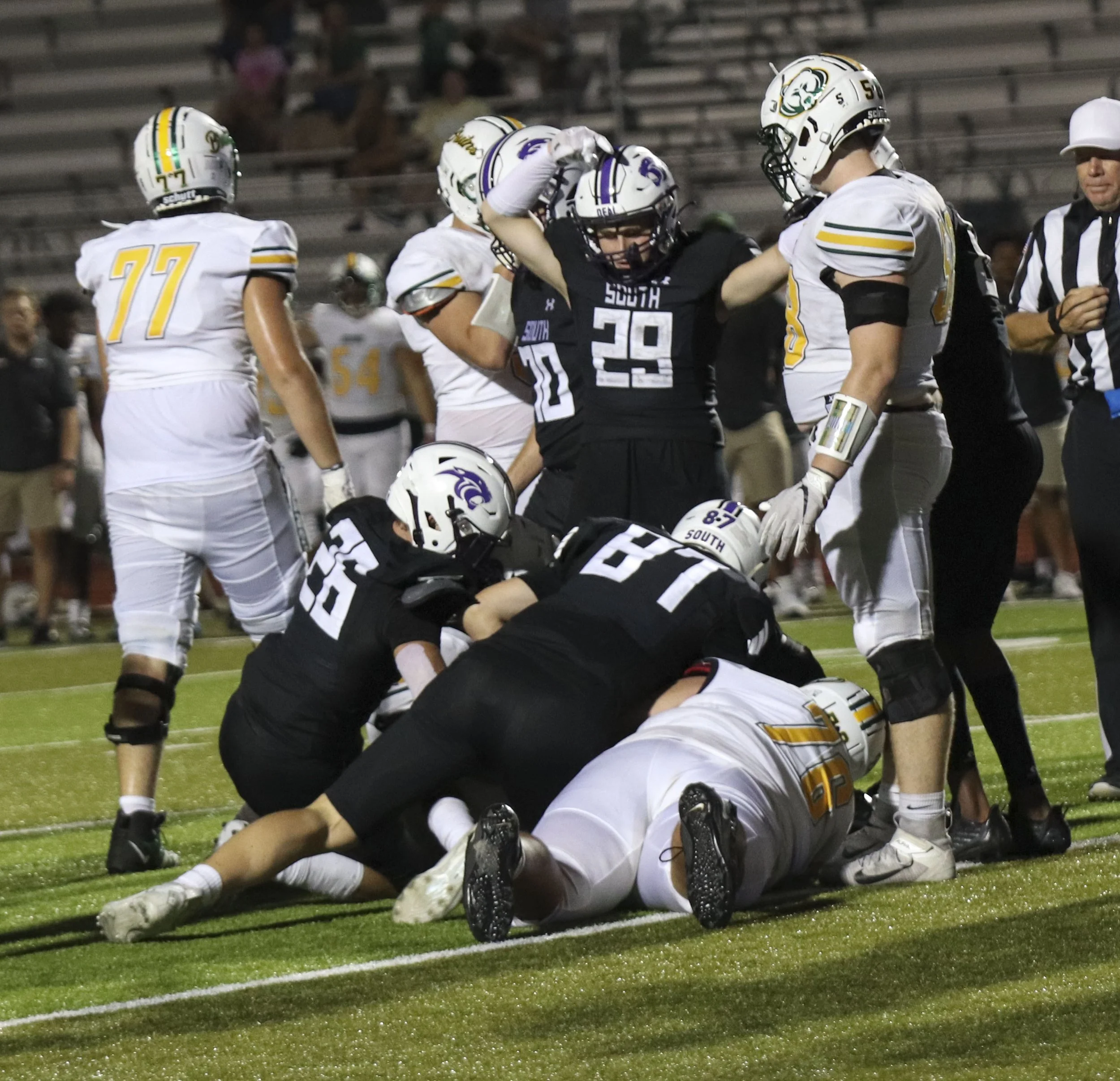 fumble recovery_1.jpg