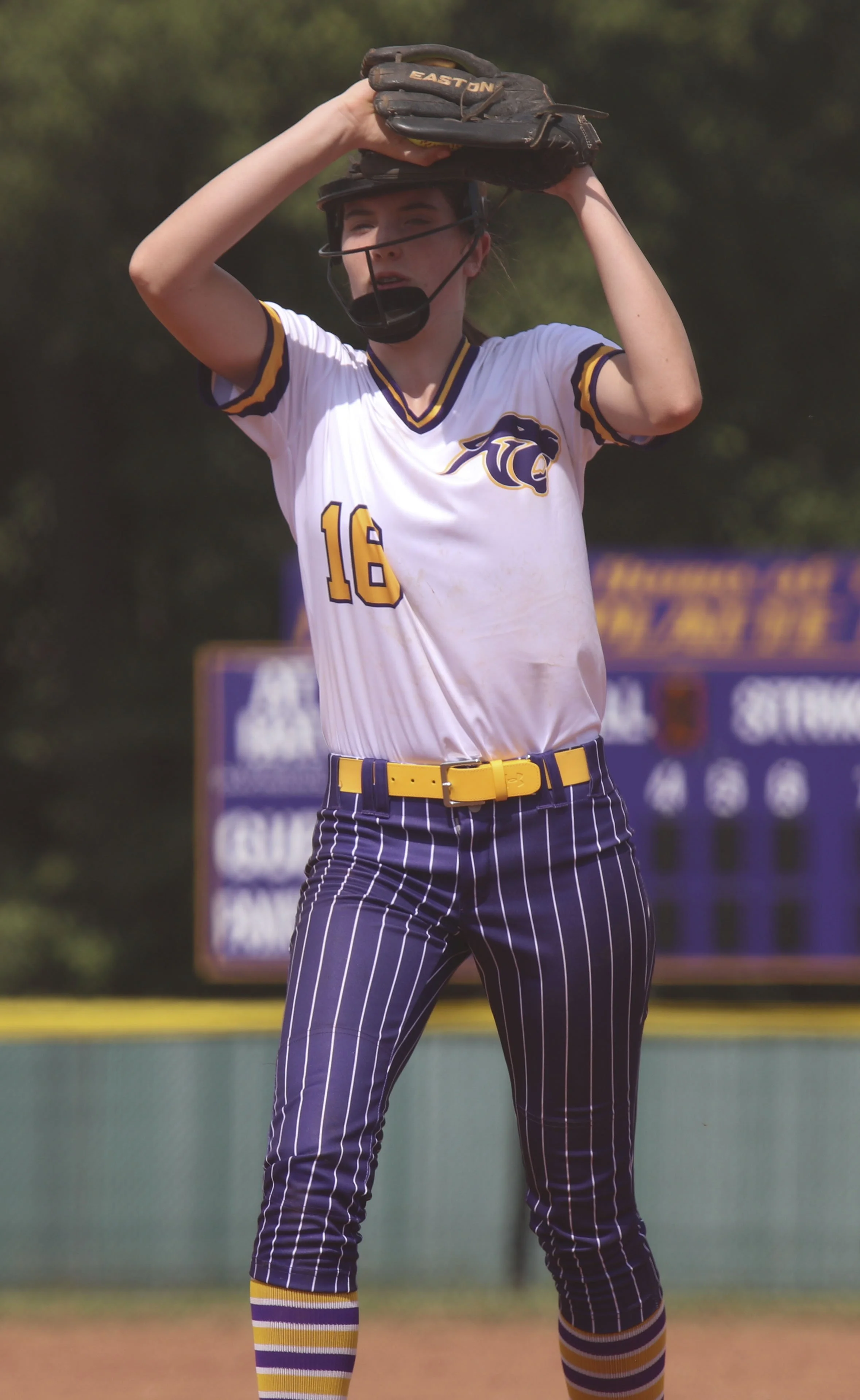 Kate Wolf pitch.jpg