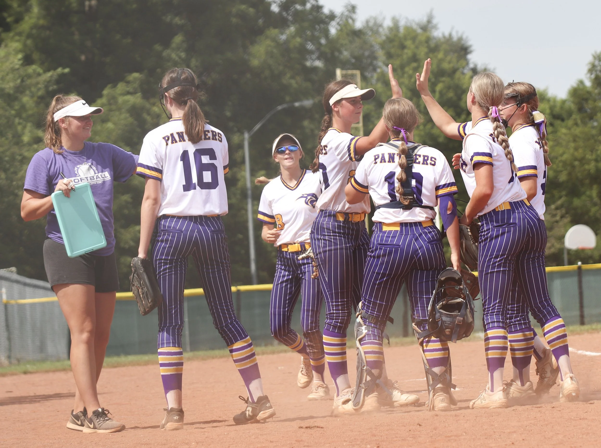 mid inning hive fives_1.jpg