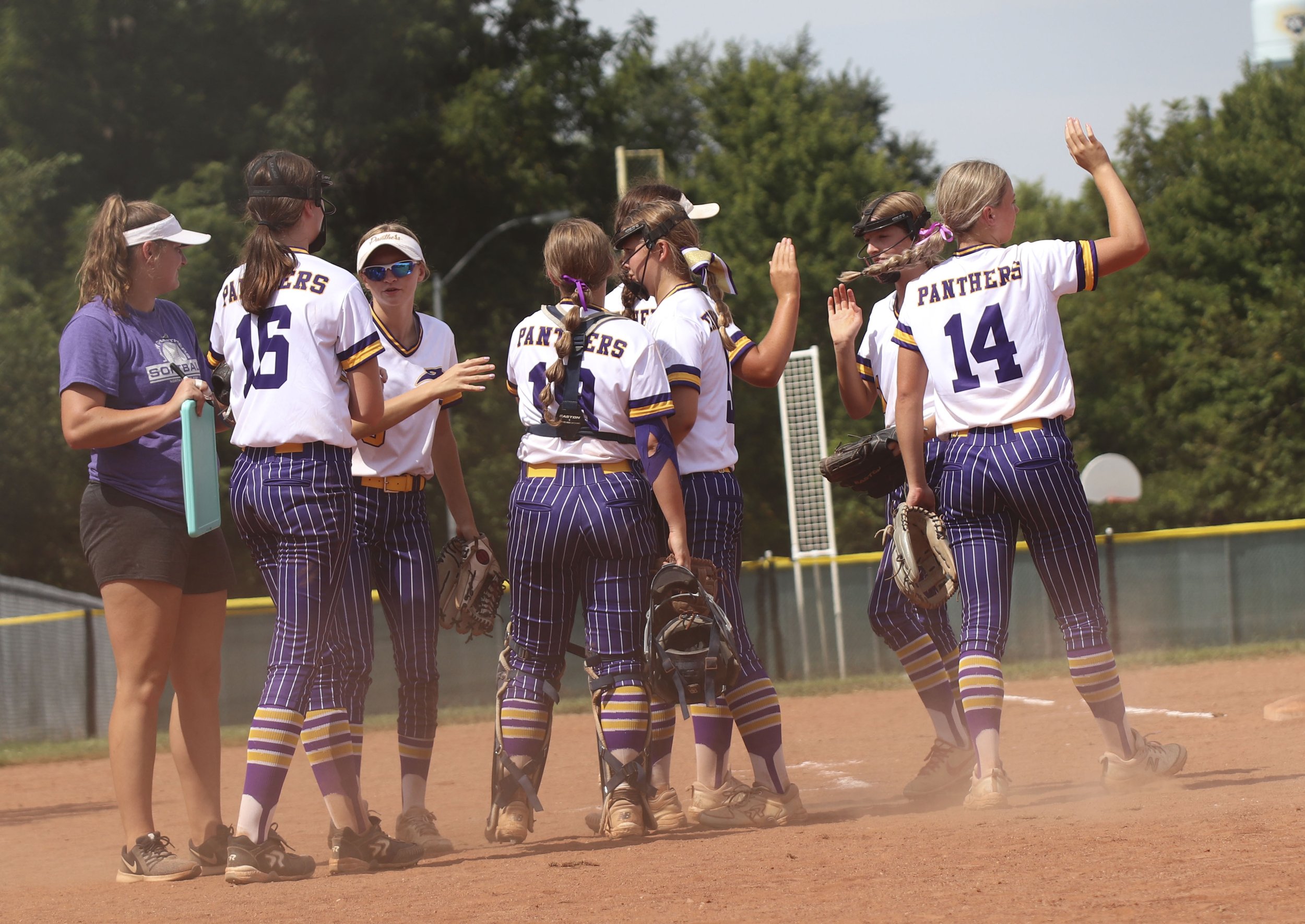 mid inning hive fives_2.jpg