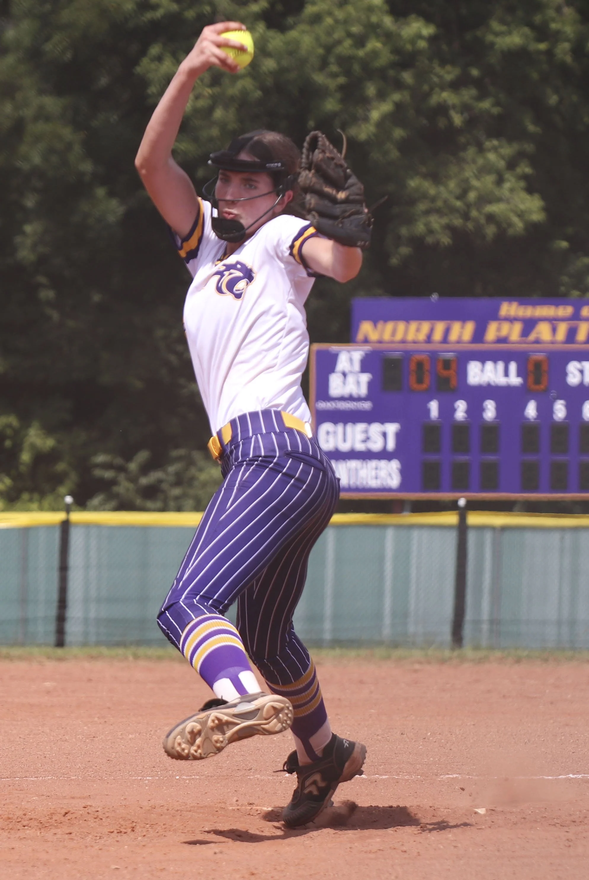 PItcher_2.jpg