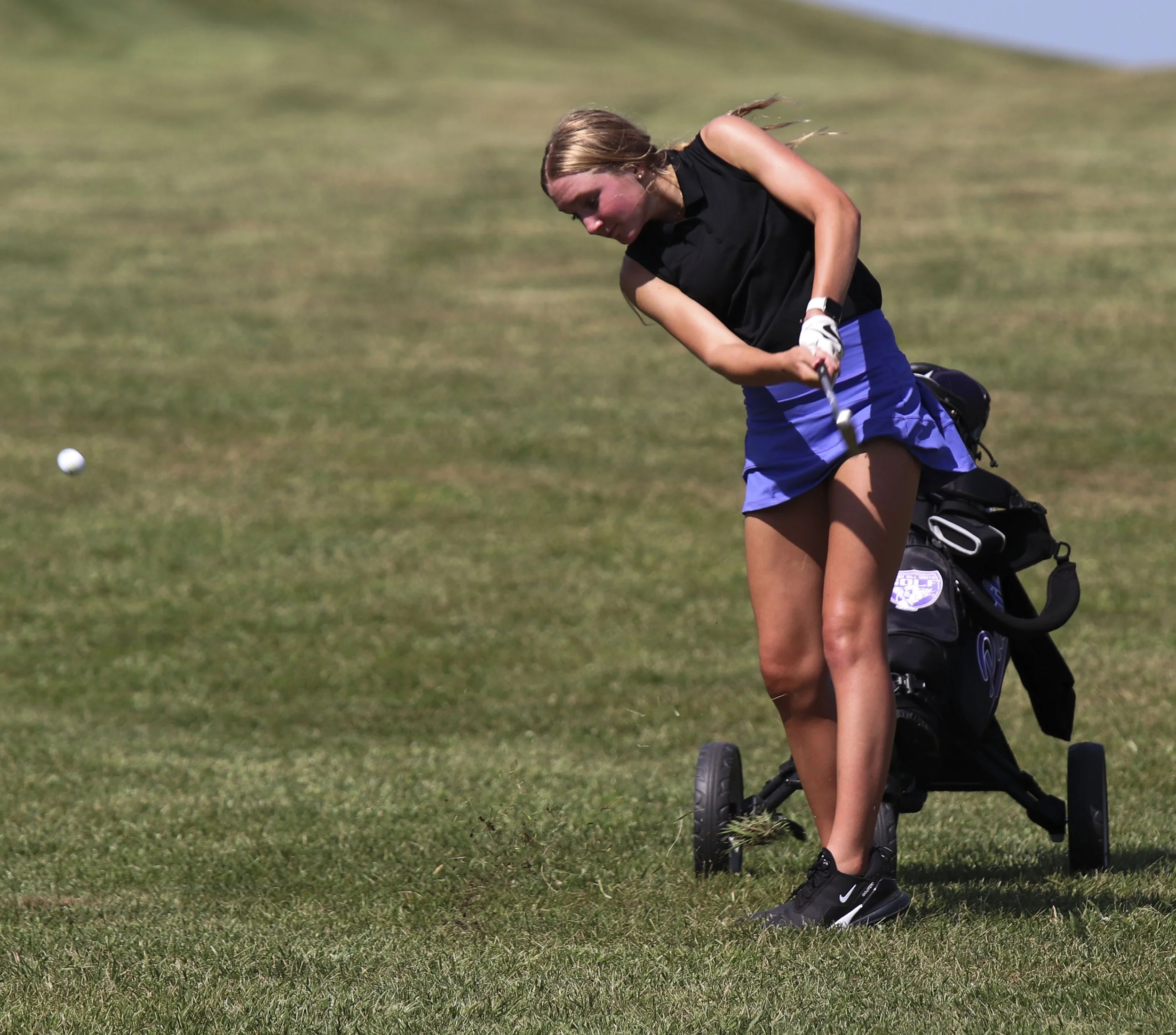 Golfer 2_5.jpg
