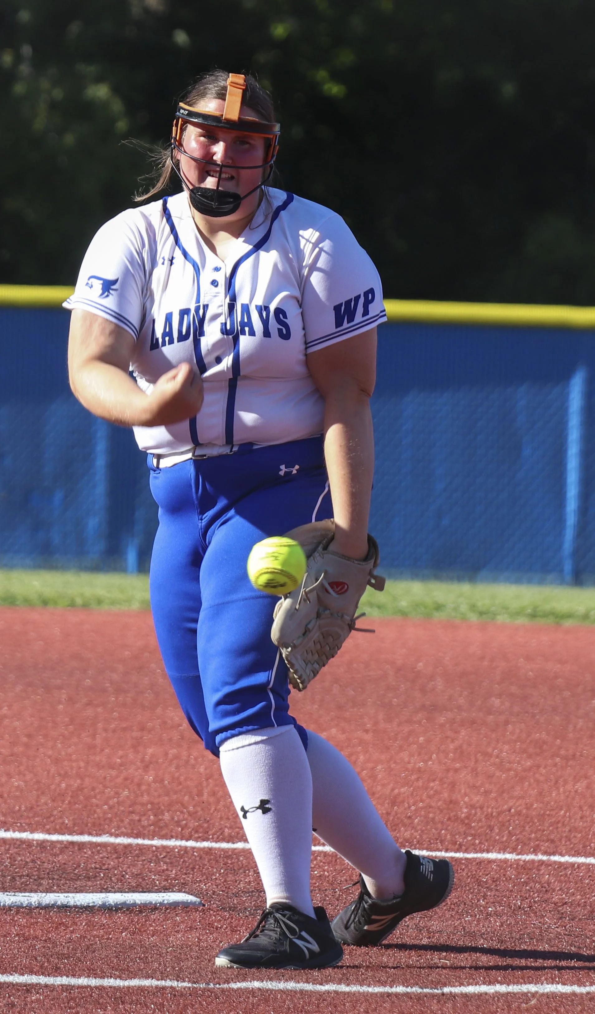 Emily VanNatta pitch_2.jpg