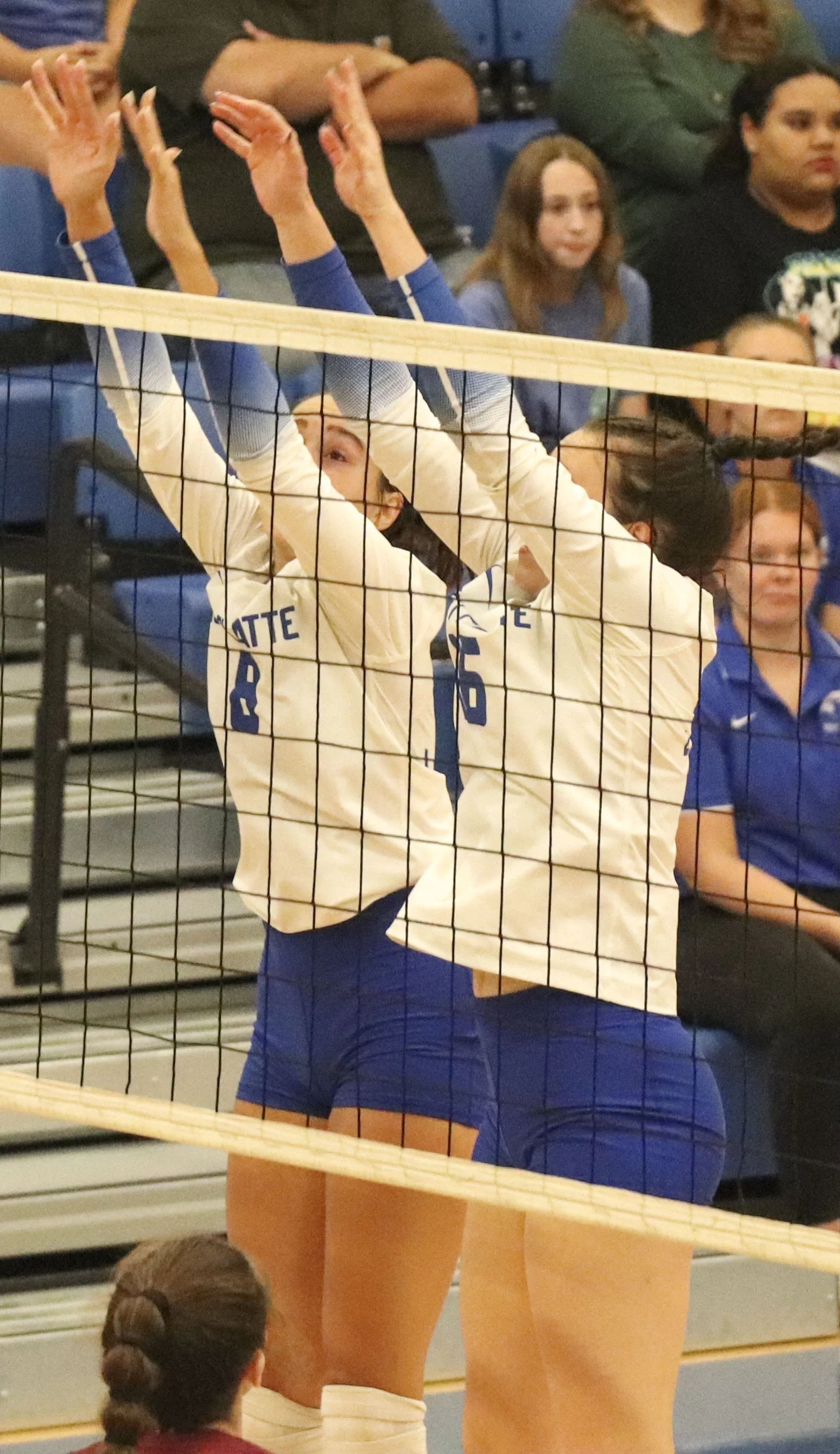 Cosette Clark_Libby Vandel block attempt_1.jpg