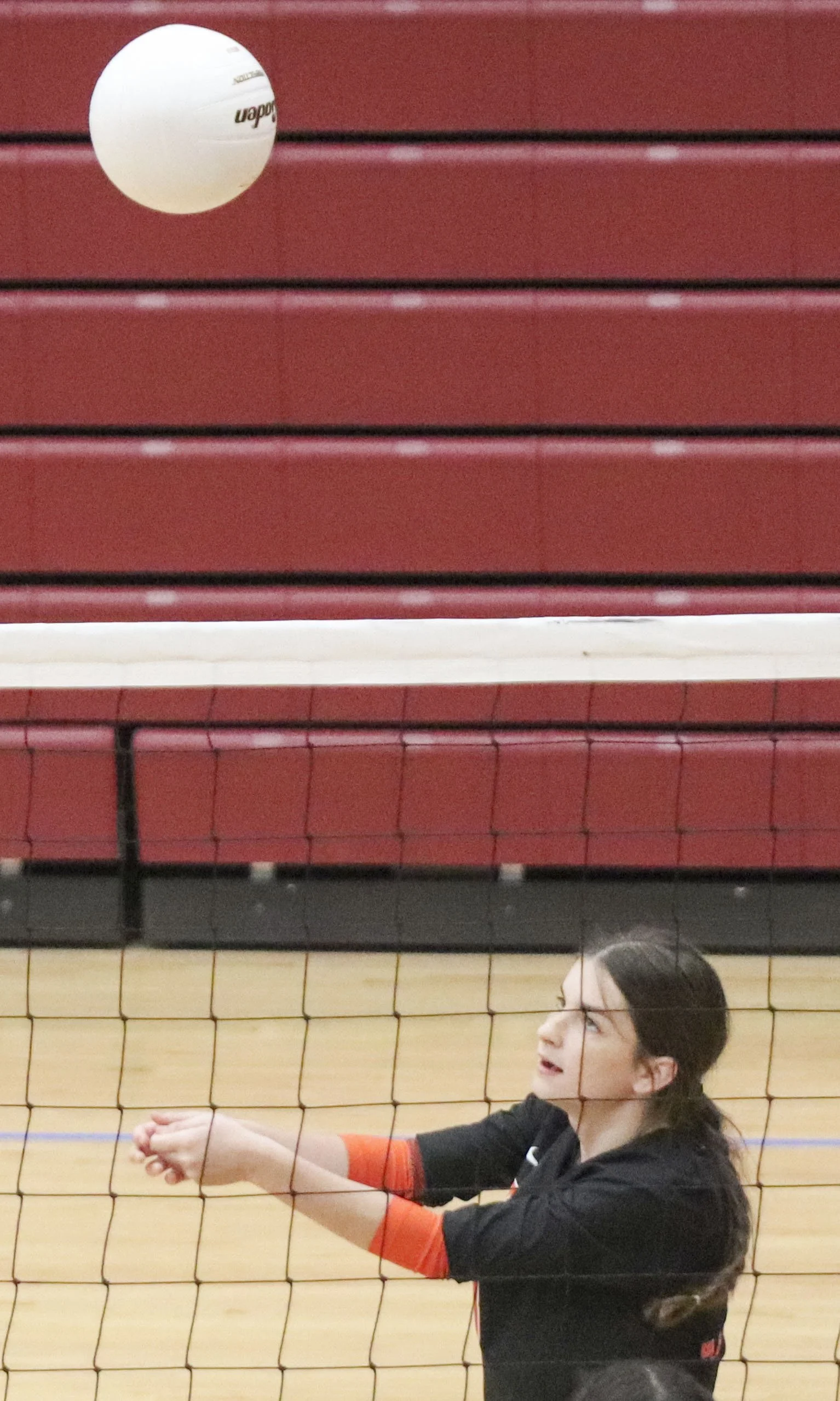 Ava Wheeler hit_1.jpg