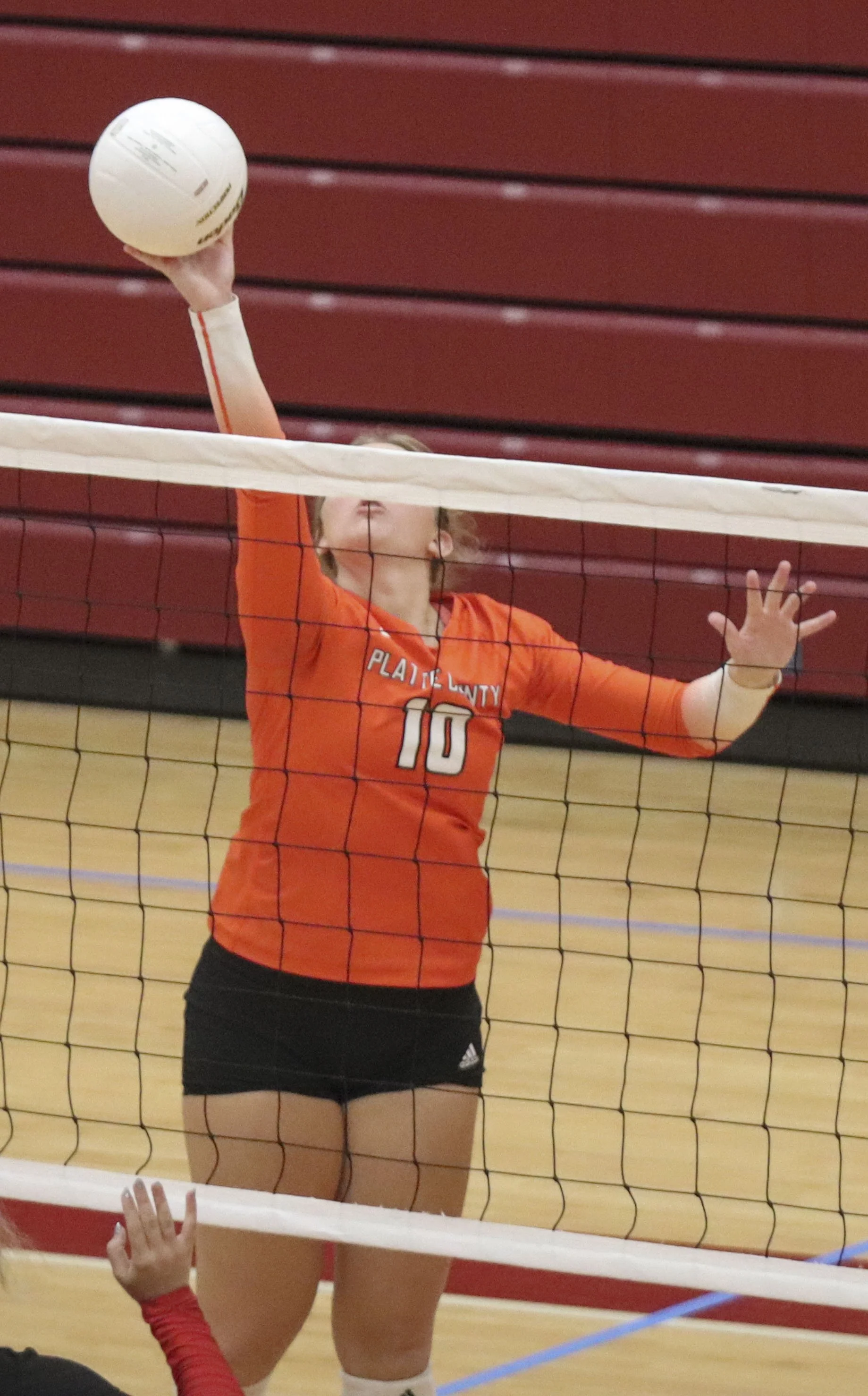 Karsyn Stehlik spike.jpg