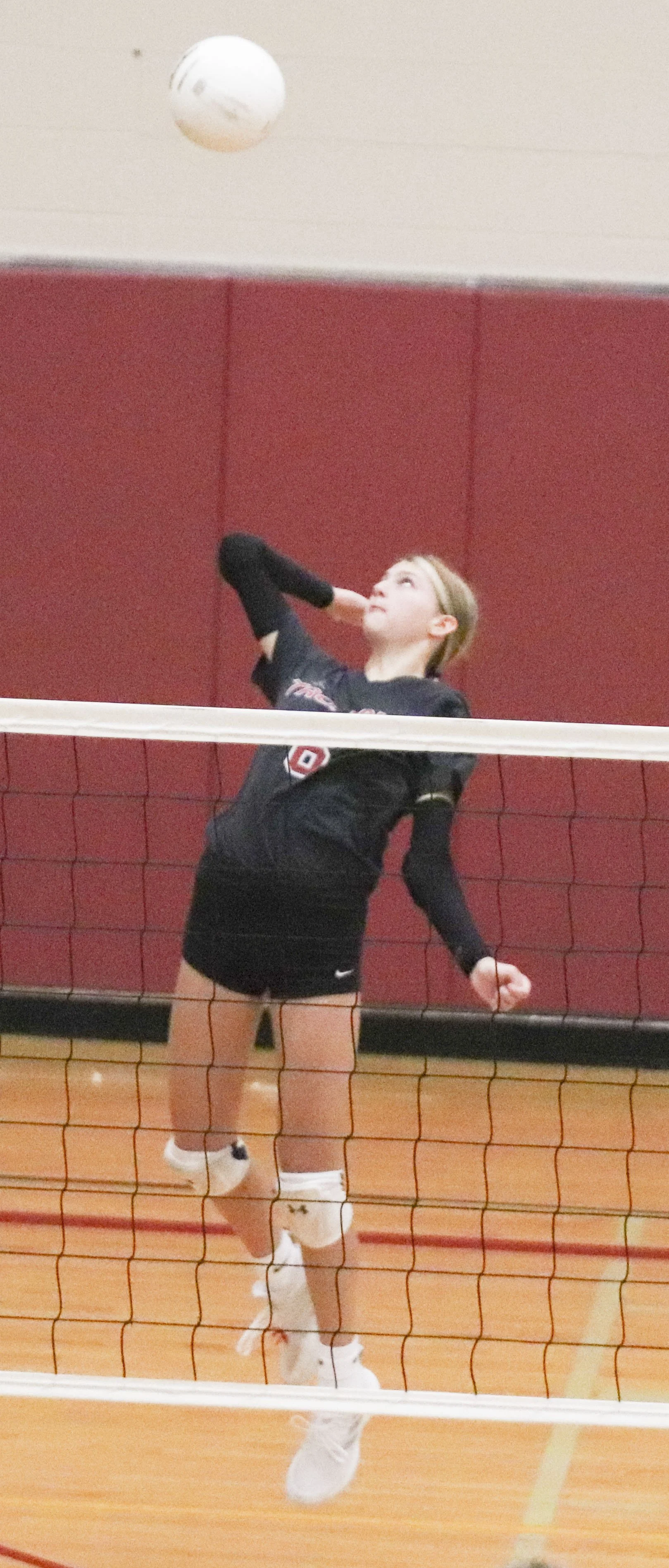 Devin Hoover spike.jpg