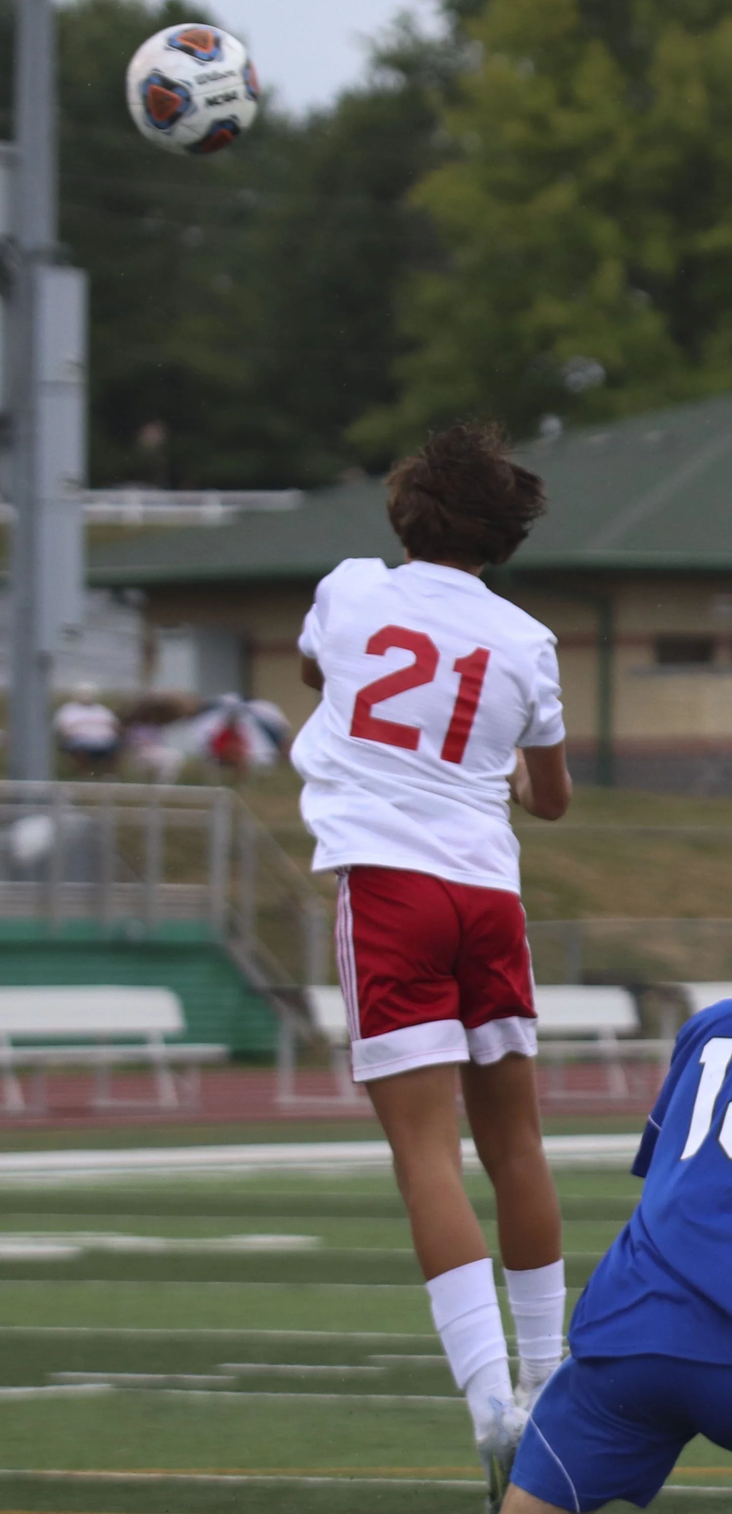 Tegan Turner header.jpg