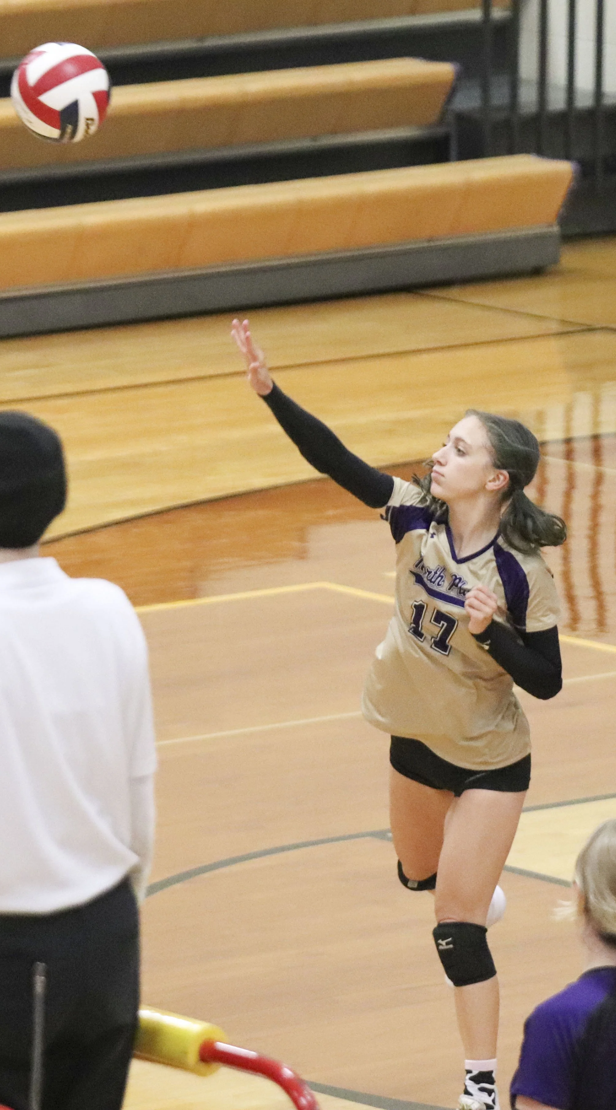 Kylee Sipes spike.jpg