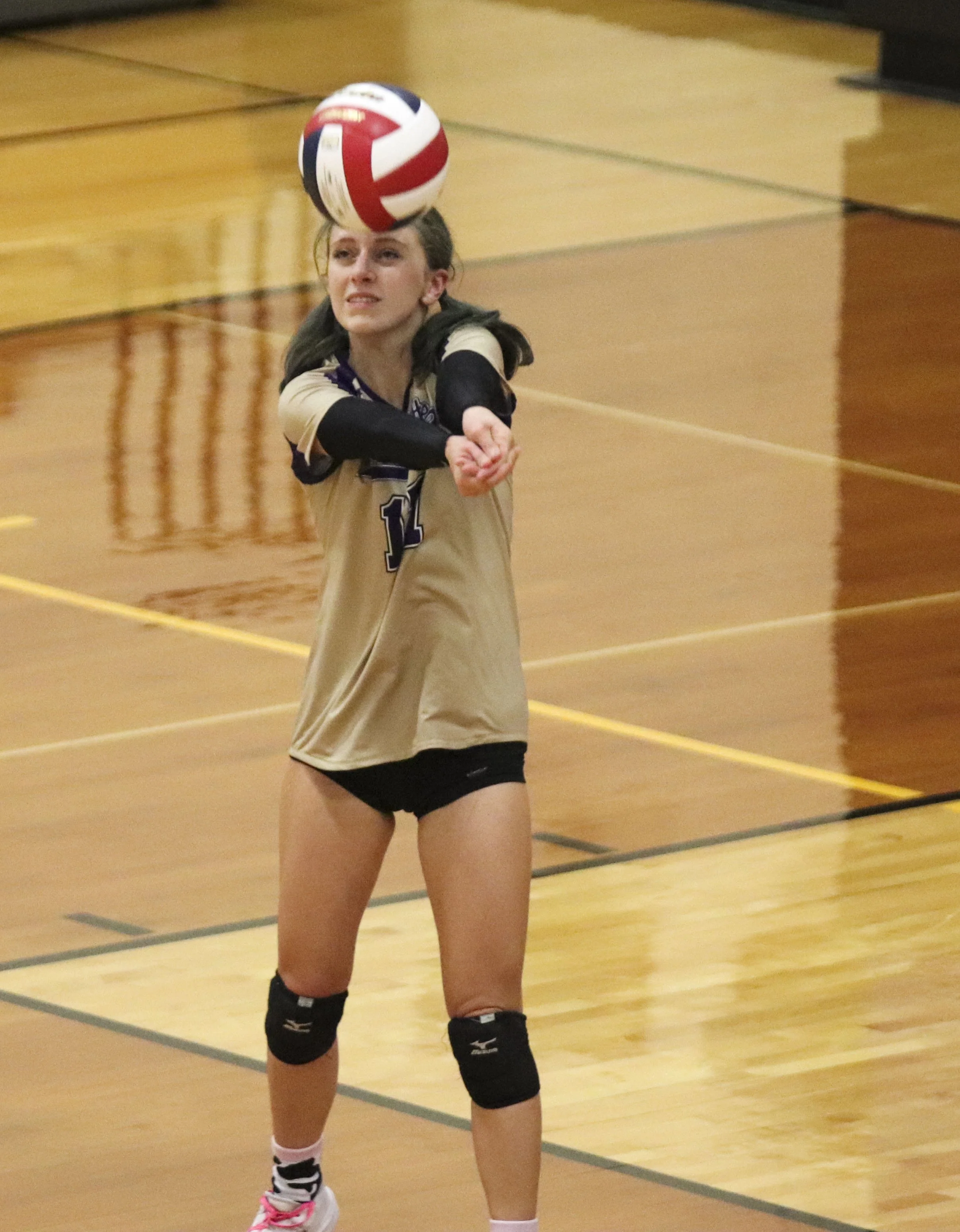 Kylee sipes_1.jpg