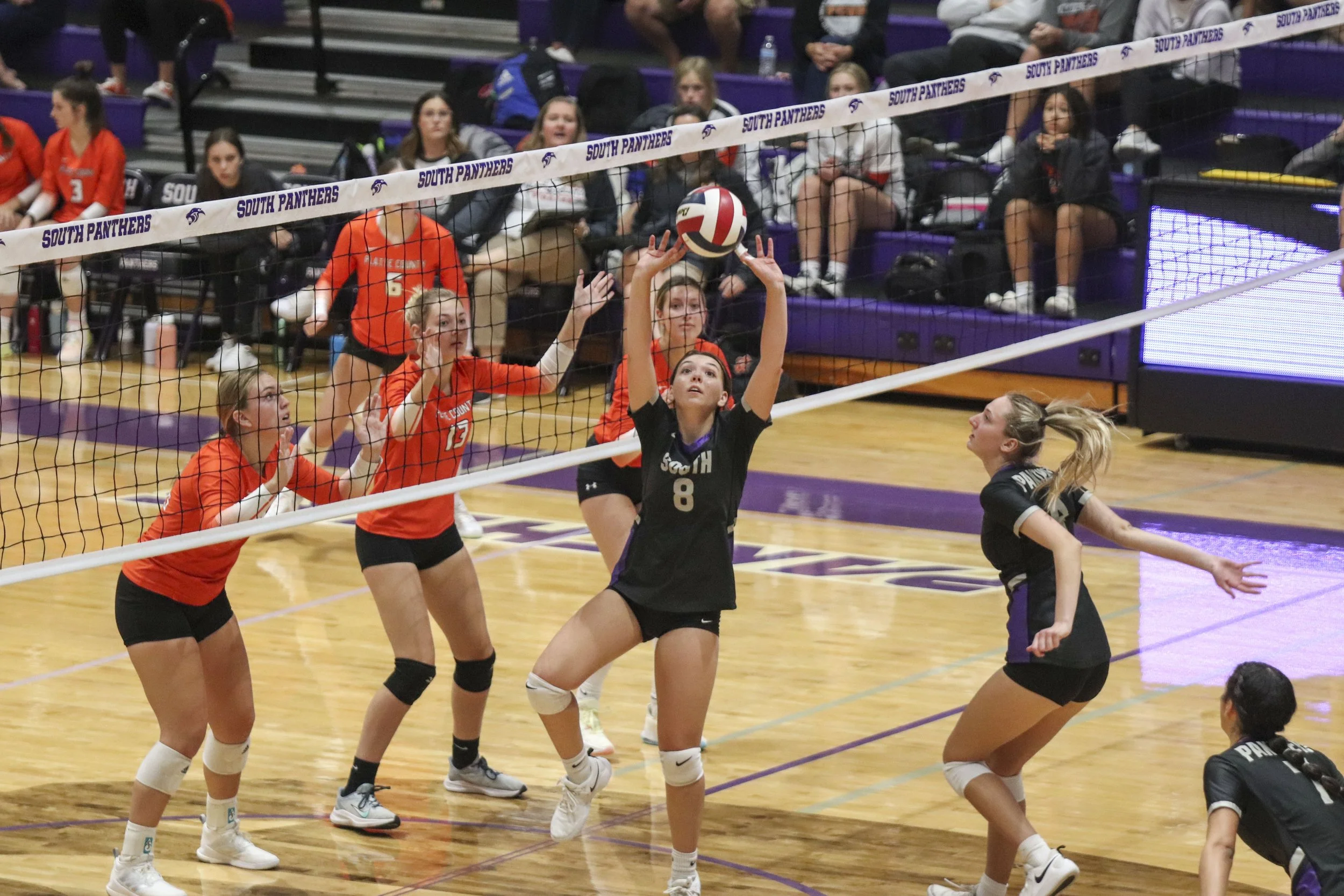 Camryn Lutke set.jpg