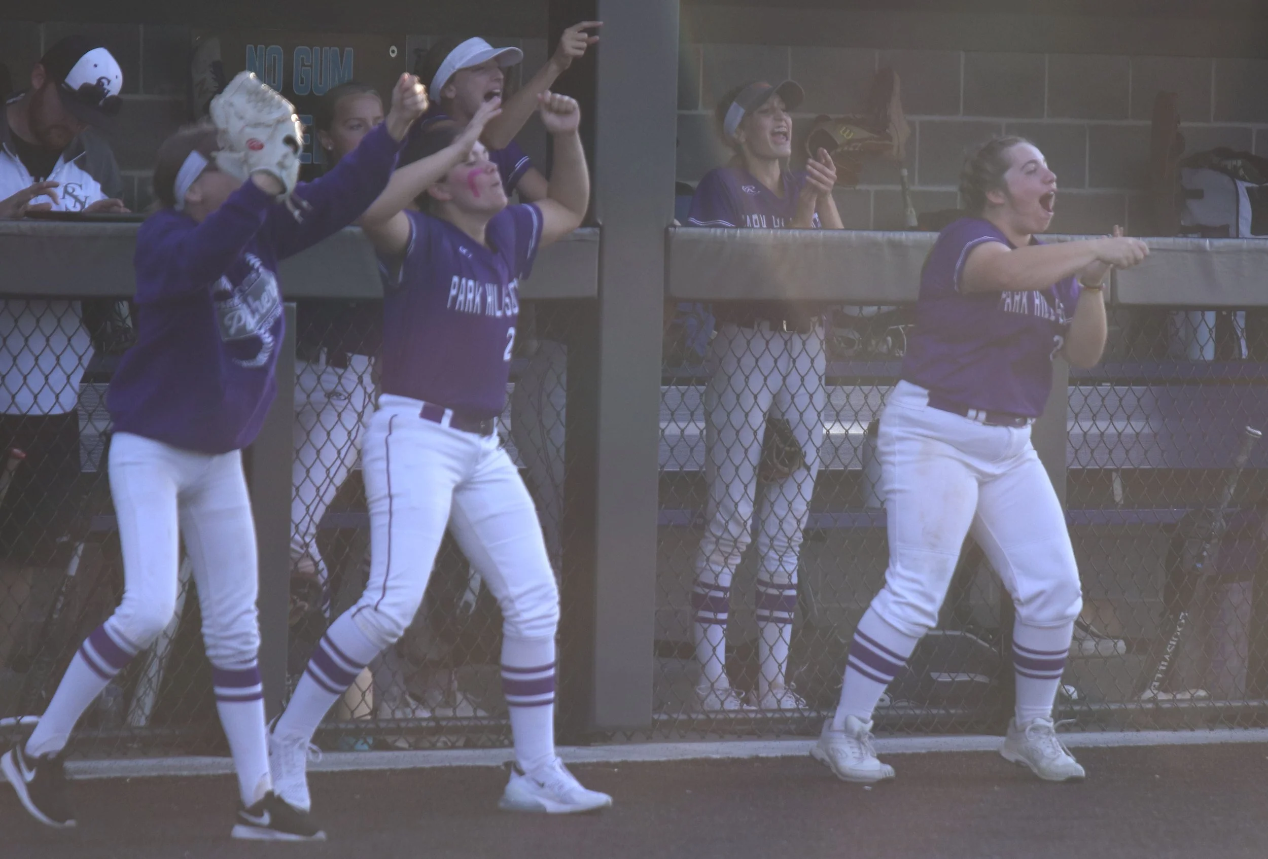 Dugout cheer_1.jpg