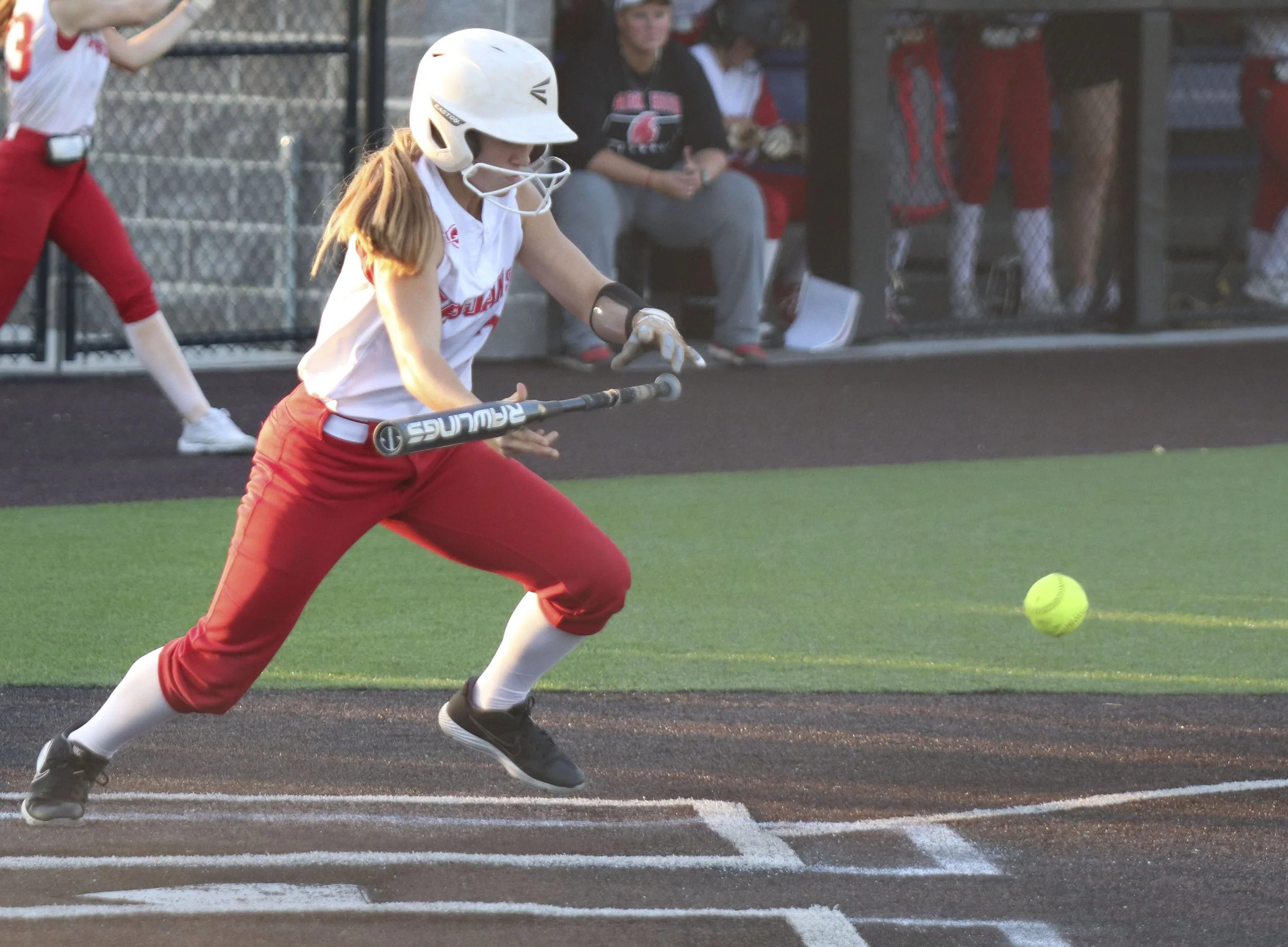 Alsion Gonier bunt.jpg