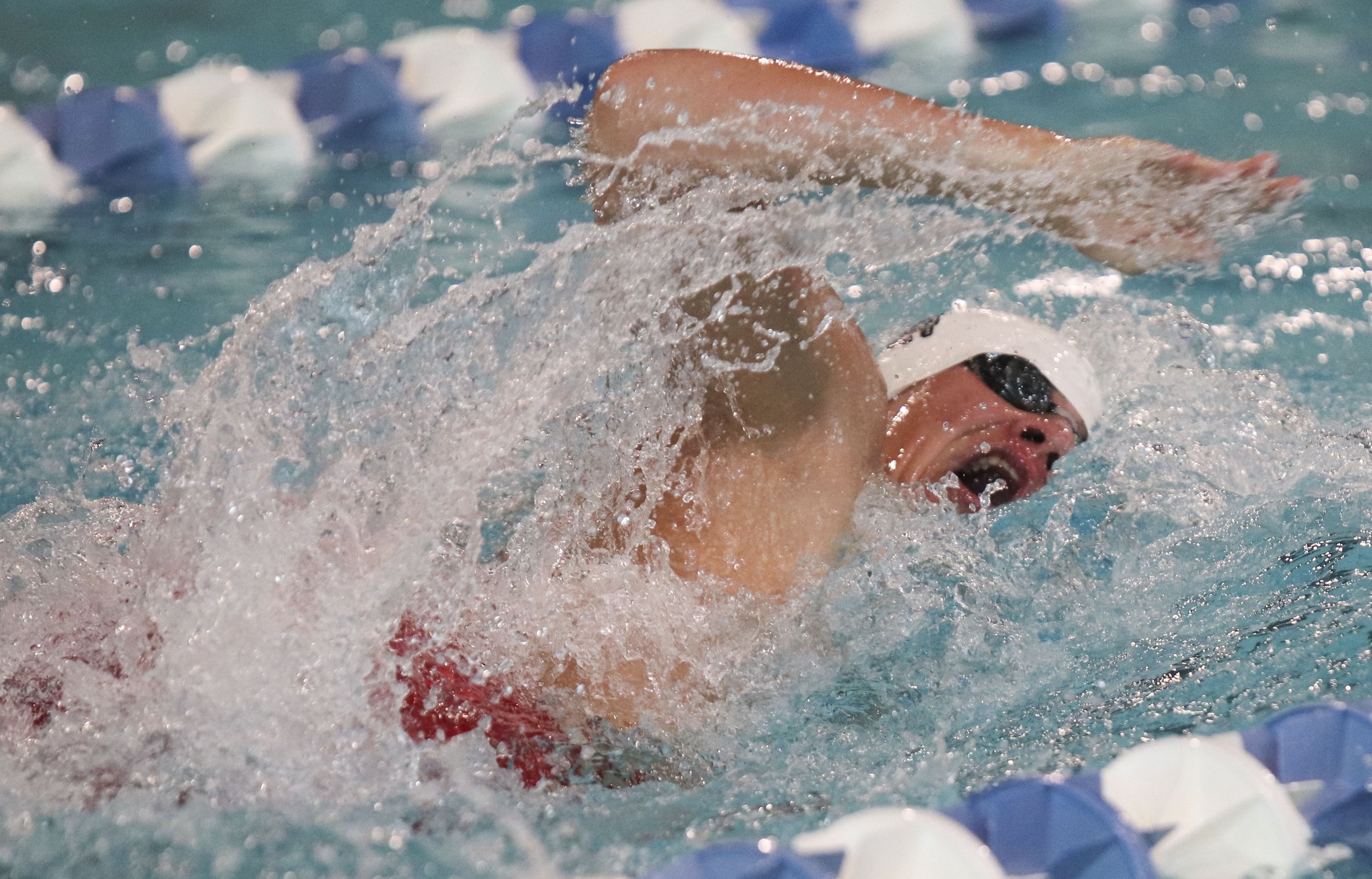 PH Finn Harrold - 200 medley relay_1.jpg