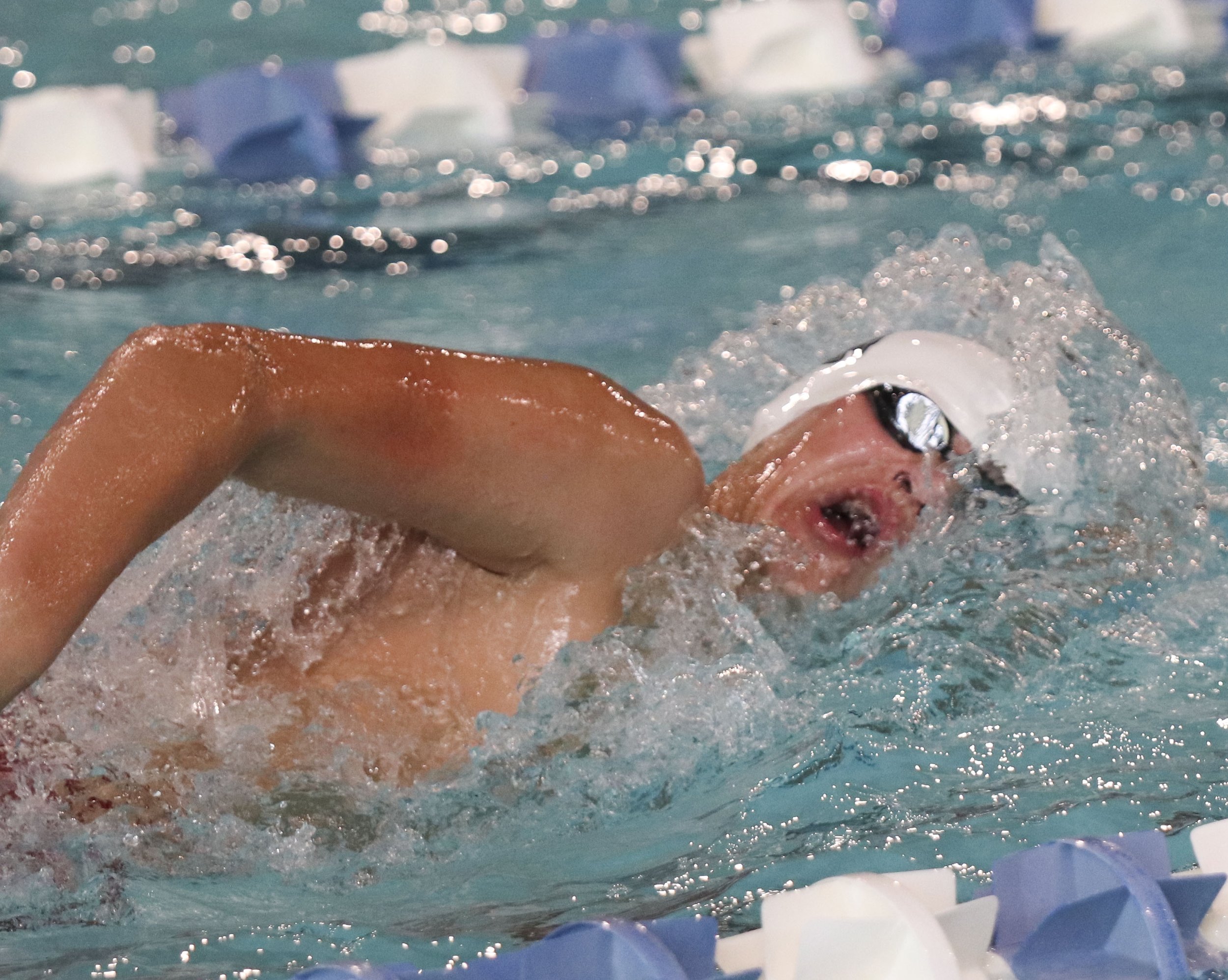 PH Finn Harrold - 200 medley relay.jpg