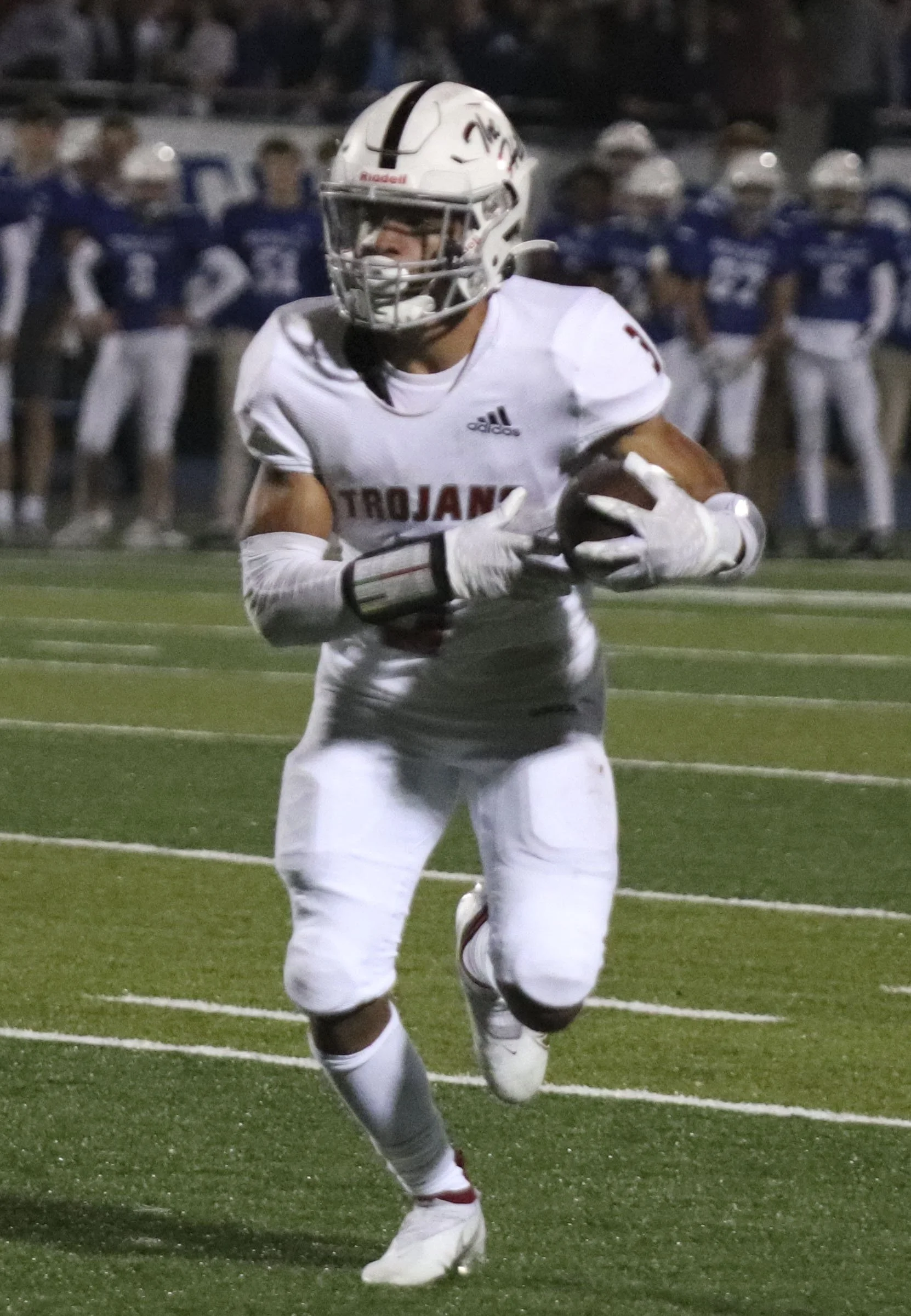 james Noel_4.jpg