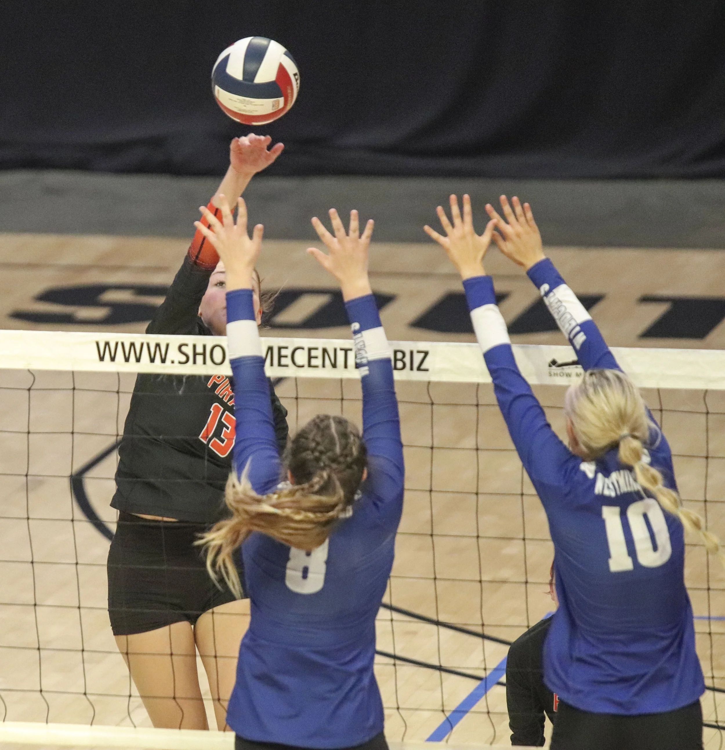 Madison hoyt_2.jpg
