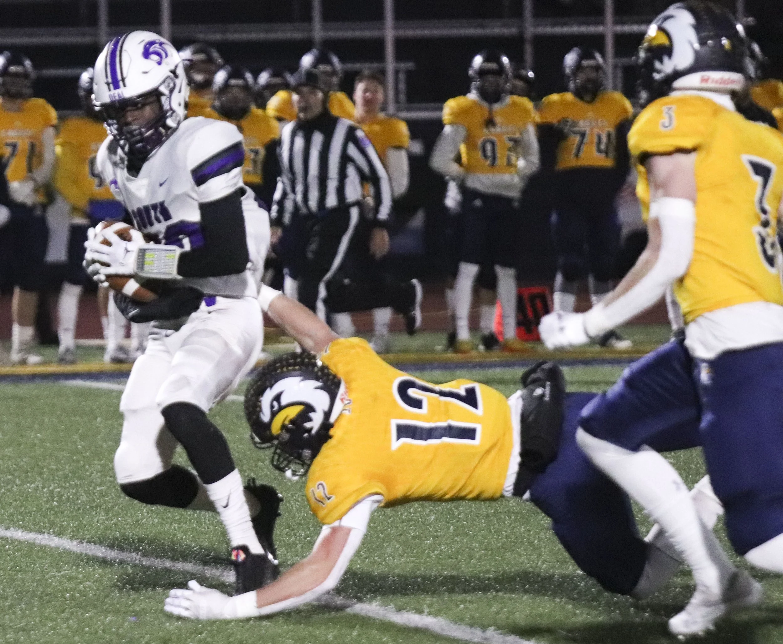 Rogdryk Guillory_2.jpg