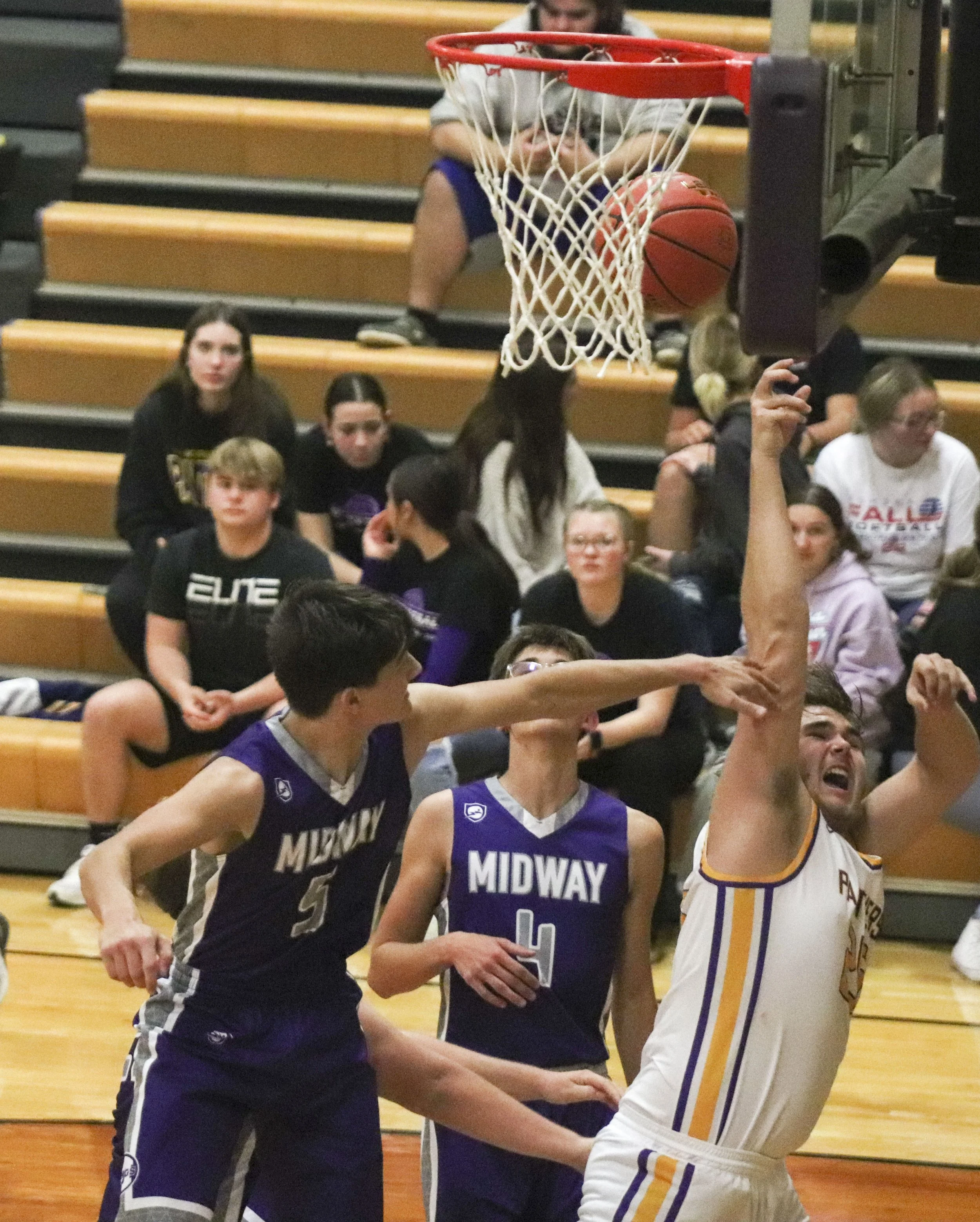 Creek fouled_1.jpg