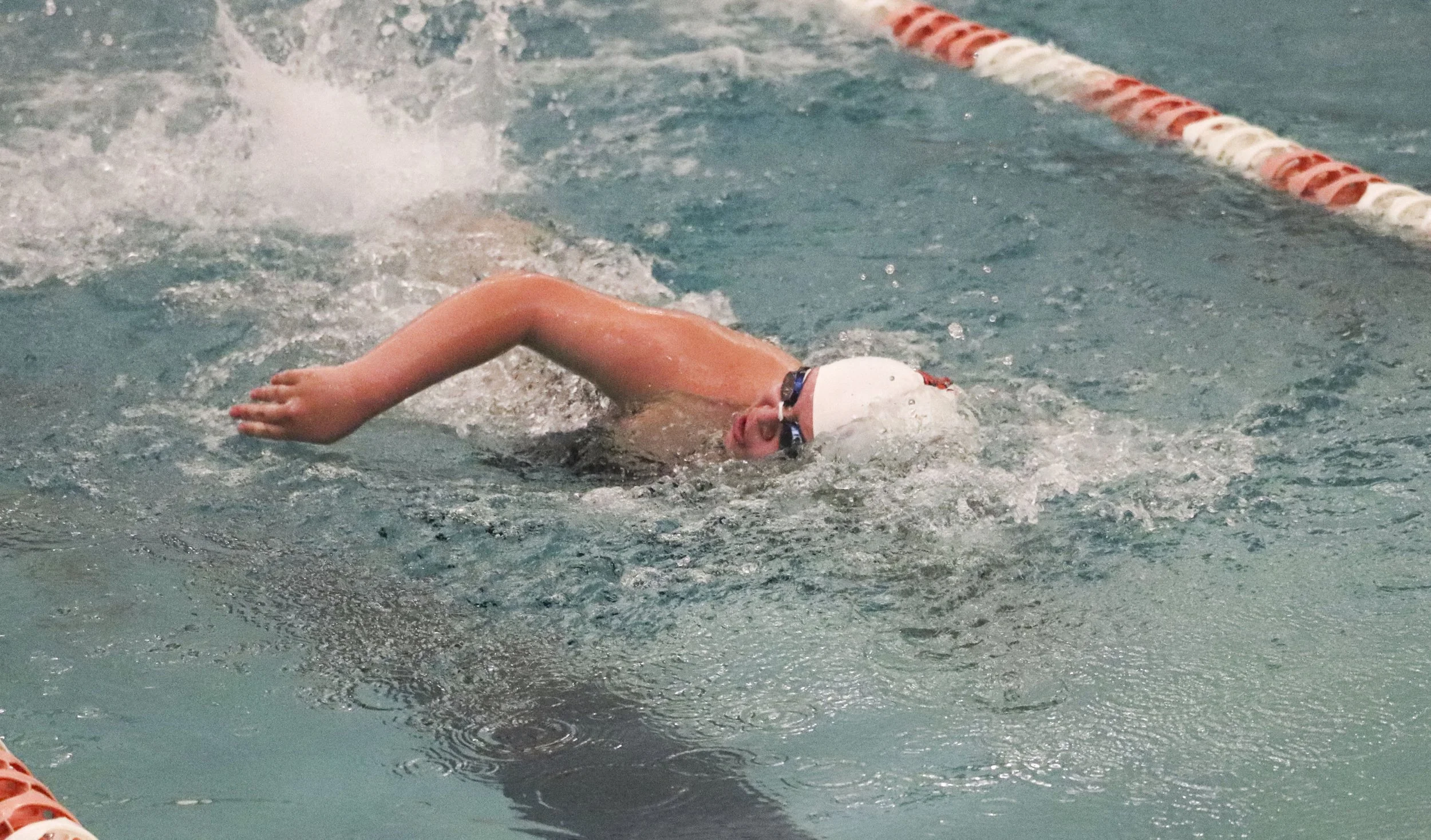 50 Yd Free- PH Lani Brott.jpg