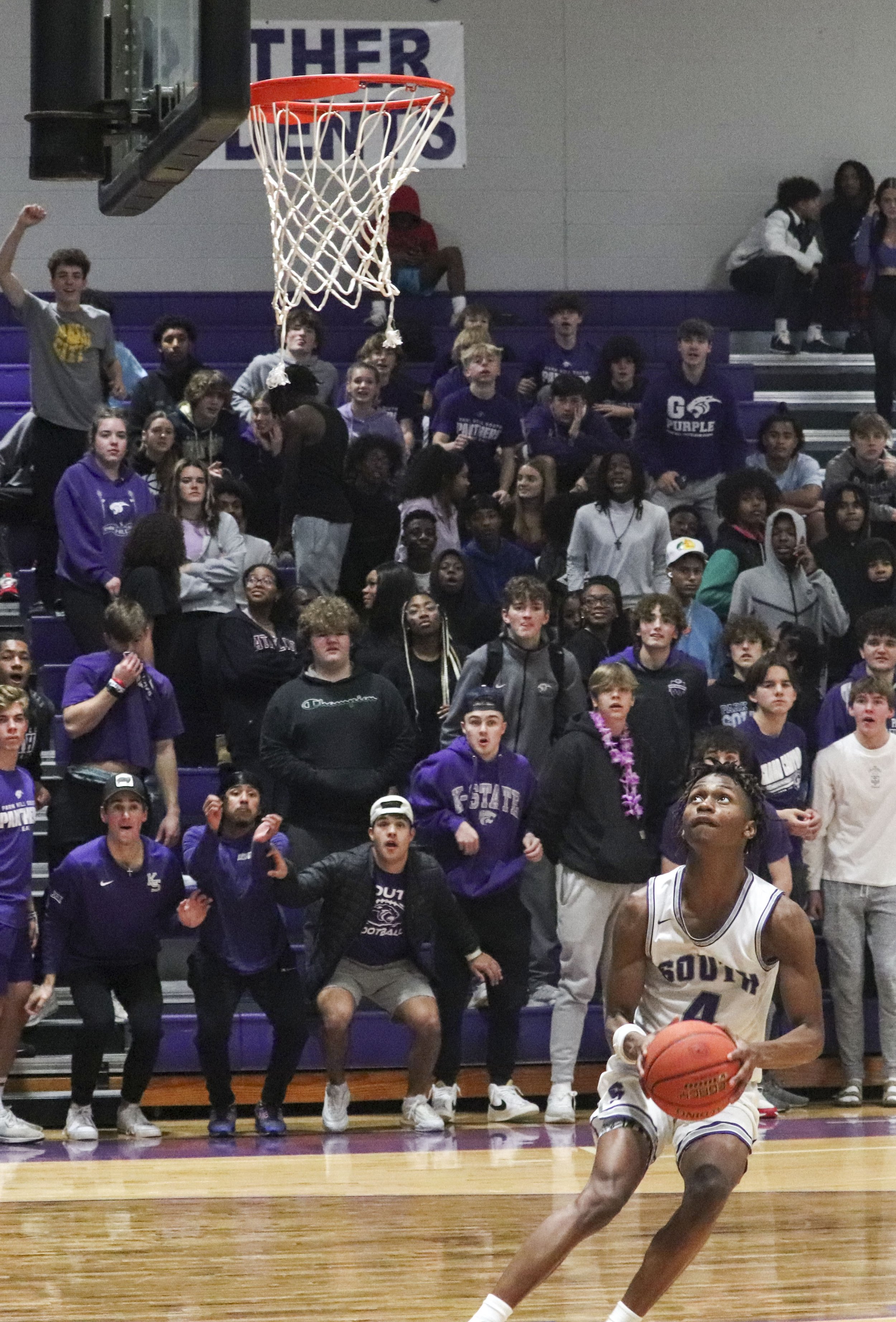 Daman Stacker dunk_2.jpg