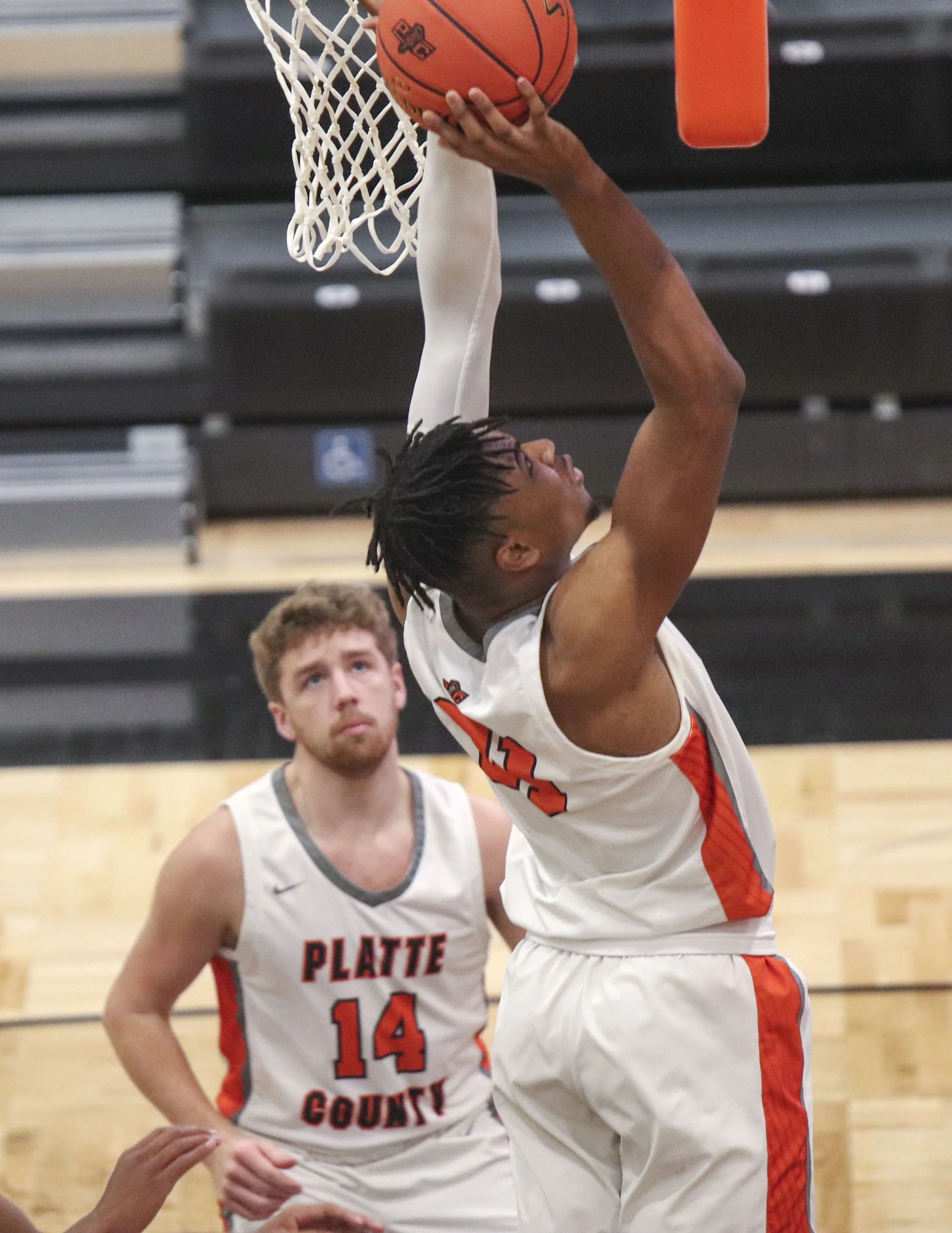 chandavian bradley_1.jpg