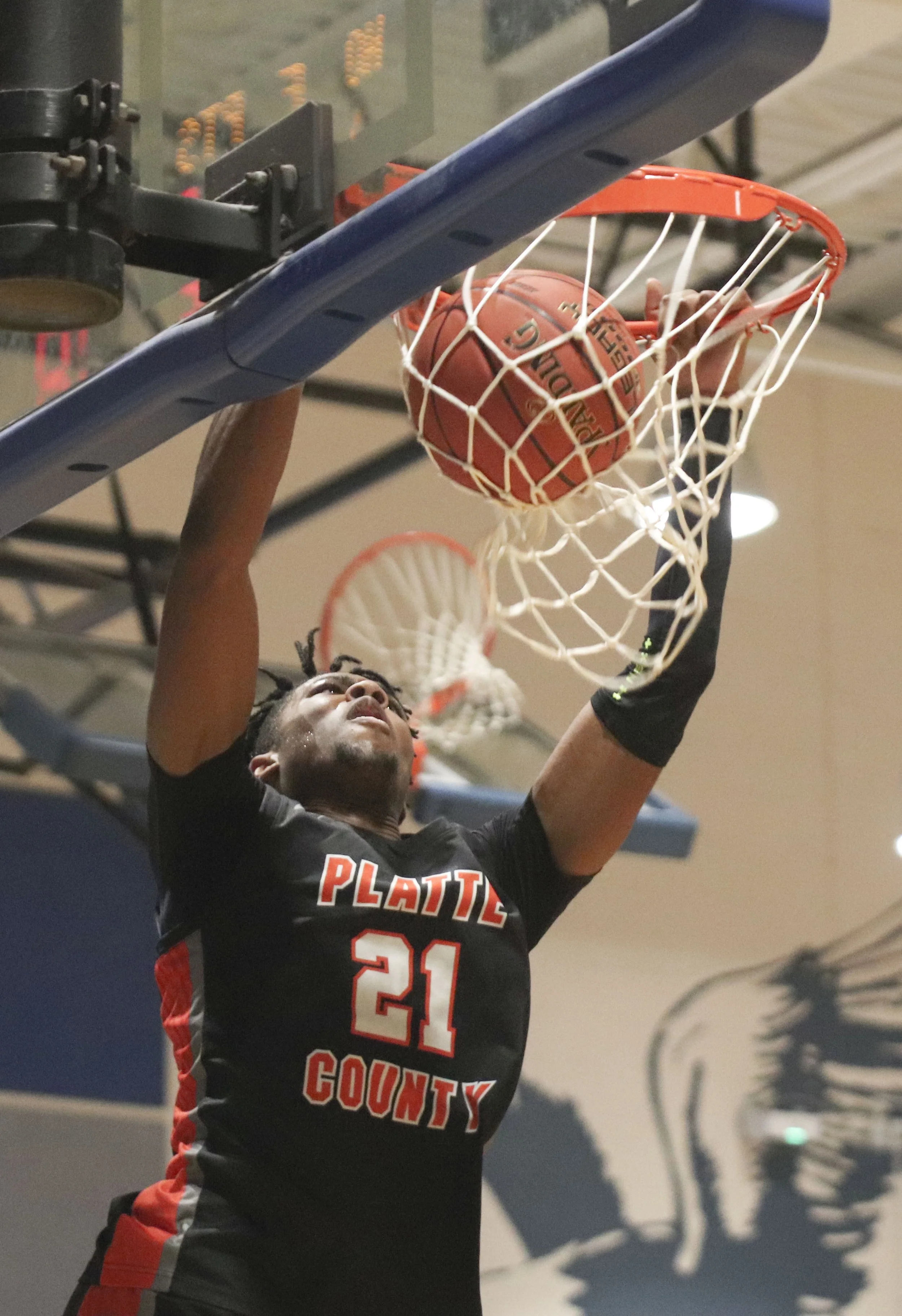 chandavian dunk_1.jpg