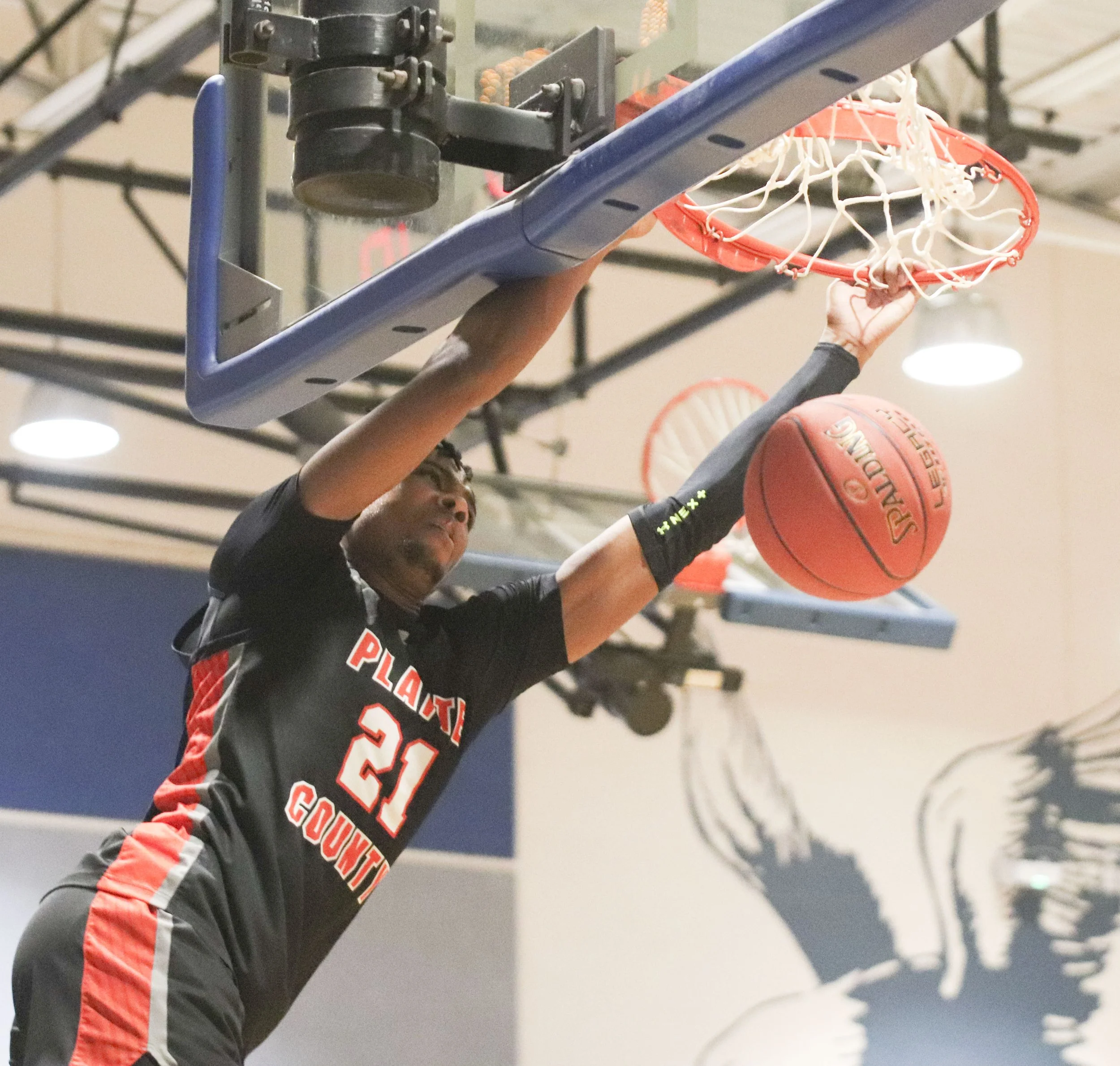 chandavian dunk_2.jpg