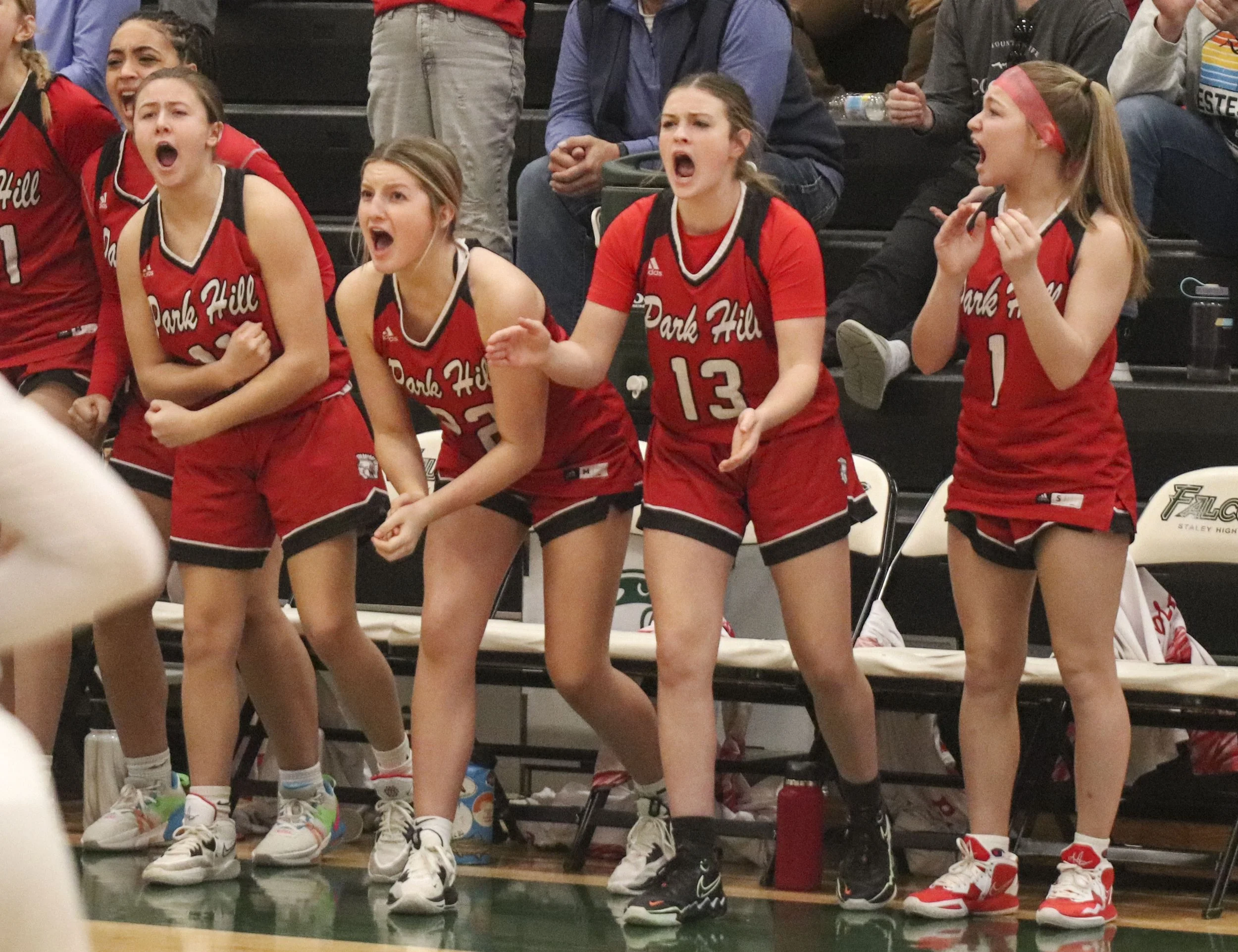 bench_1.jpg