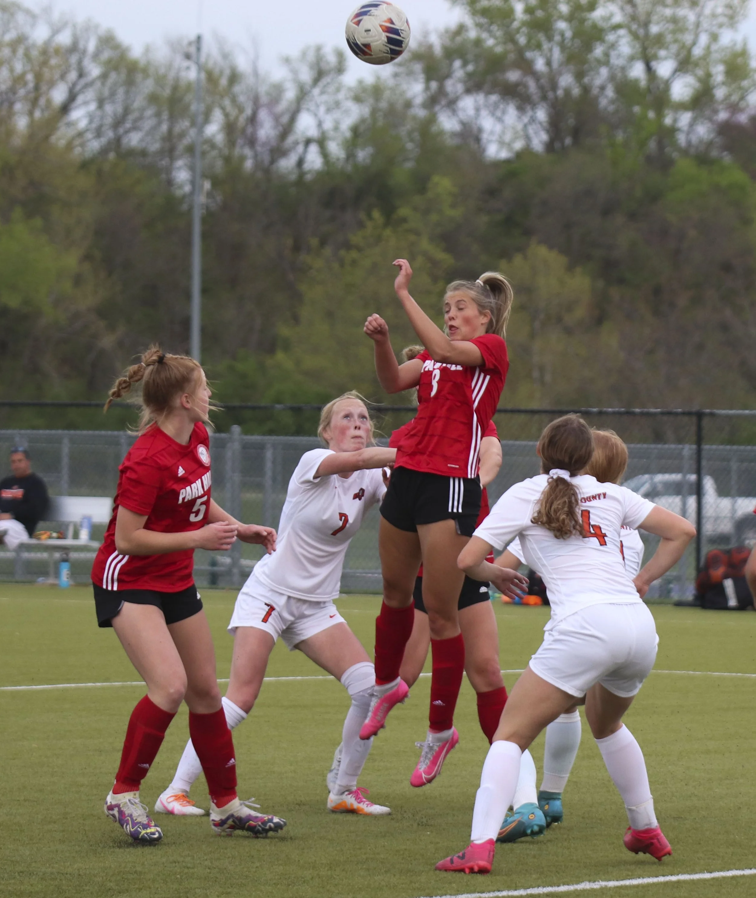 Paige barry header.jpg