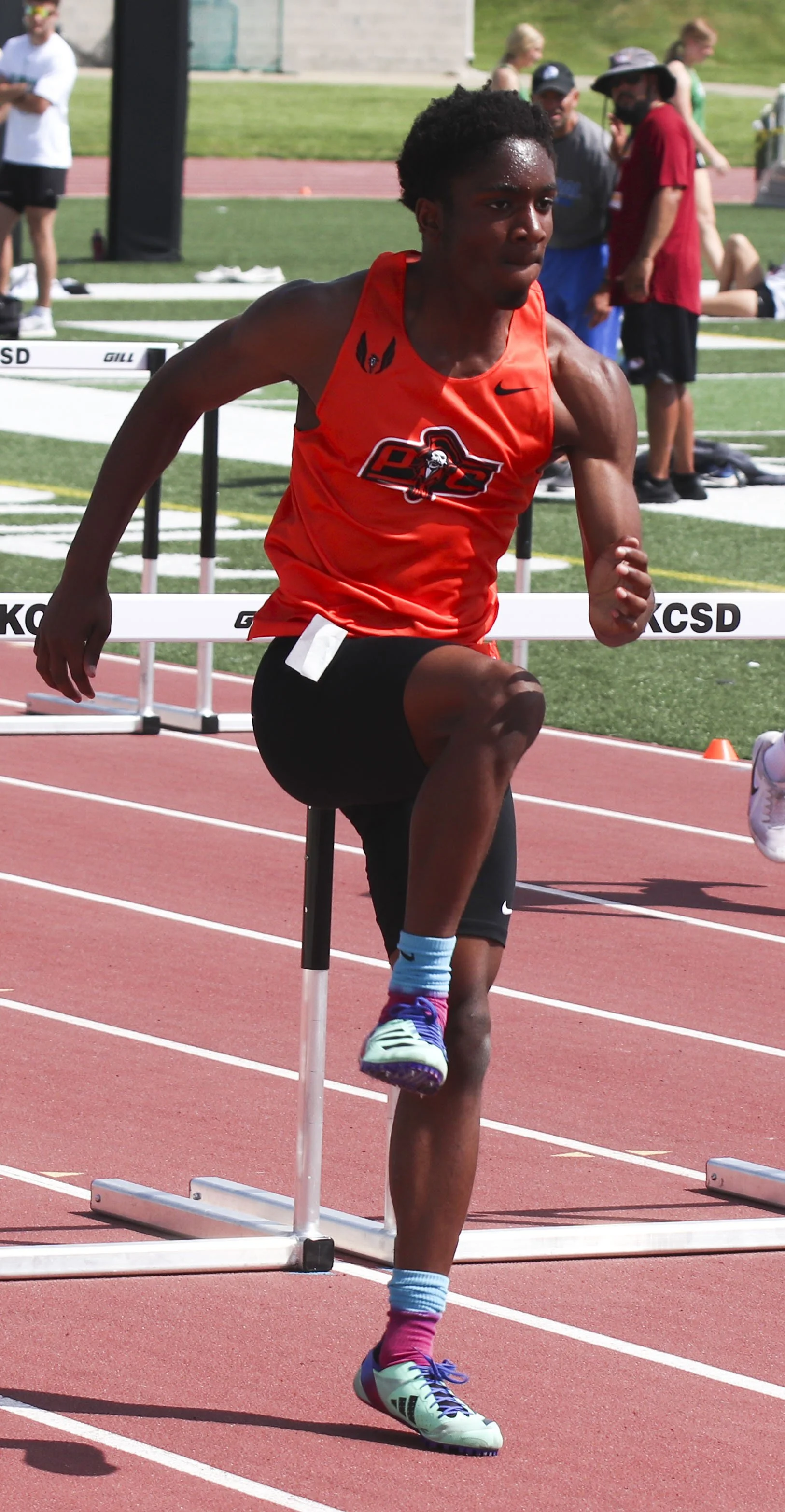 Seymour - 110 hurdles_1.jpg