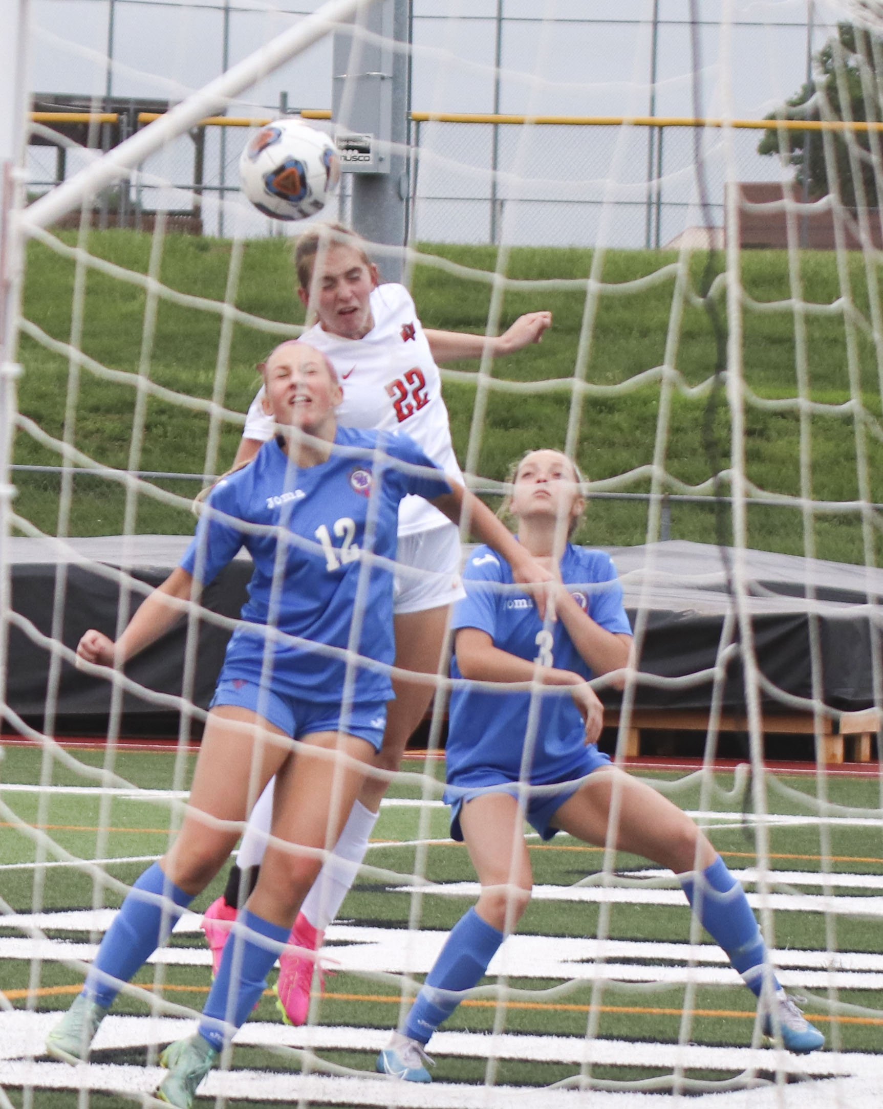 lauren stone header.jpg
