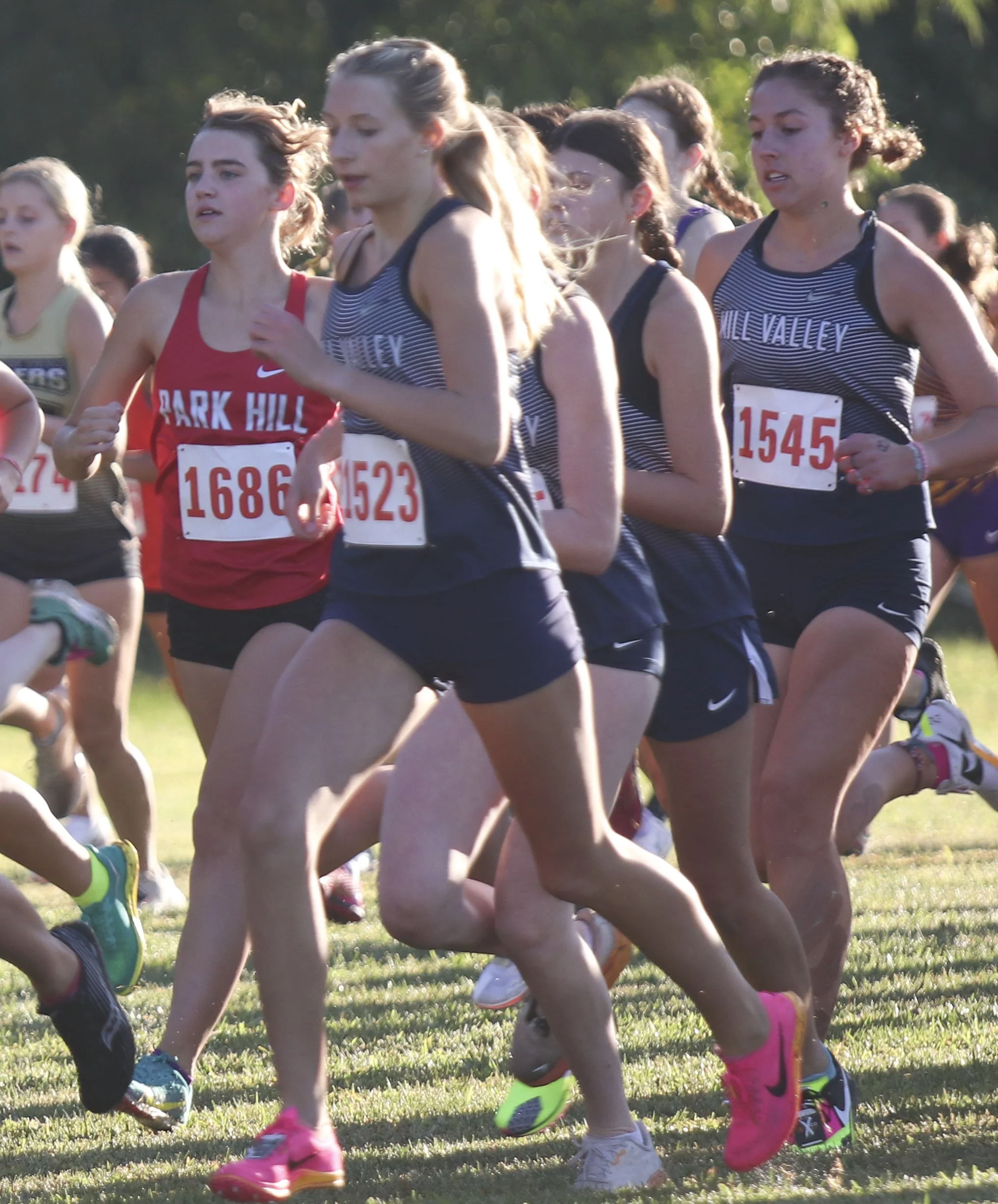 Ava Sullivan start.jpg