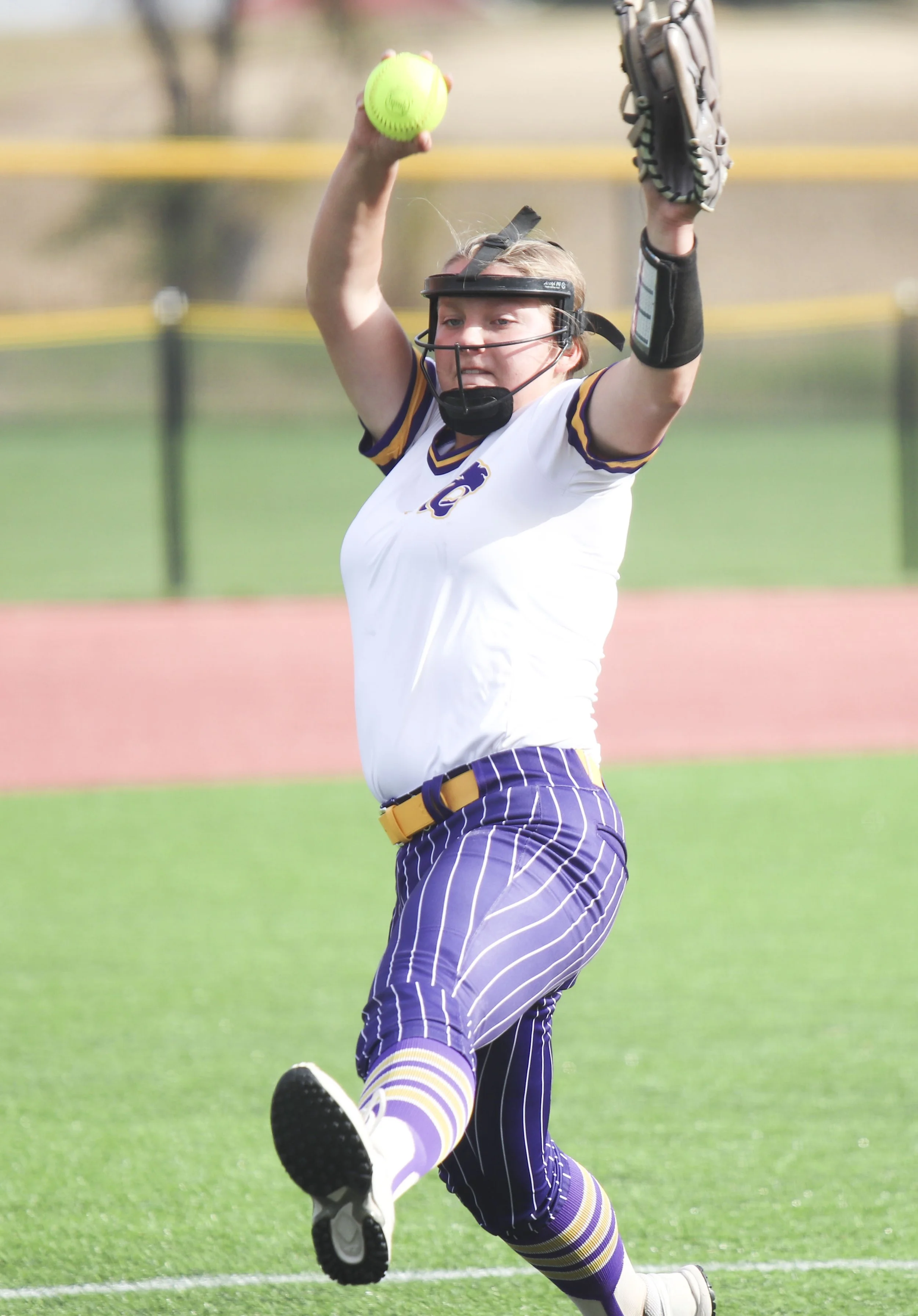 Dehn pitch.jpg