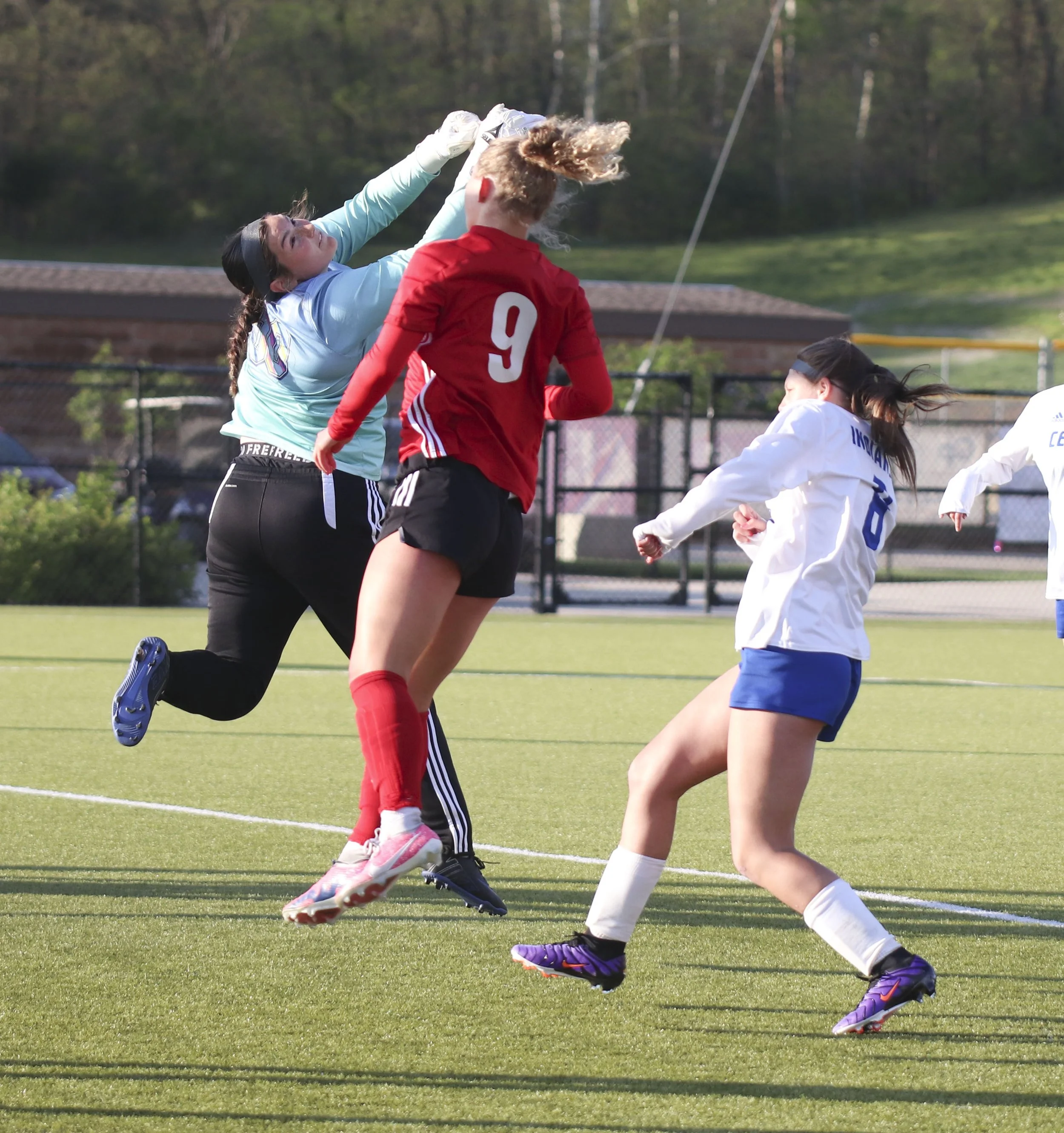 Emily WOelk header.jpg