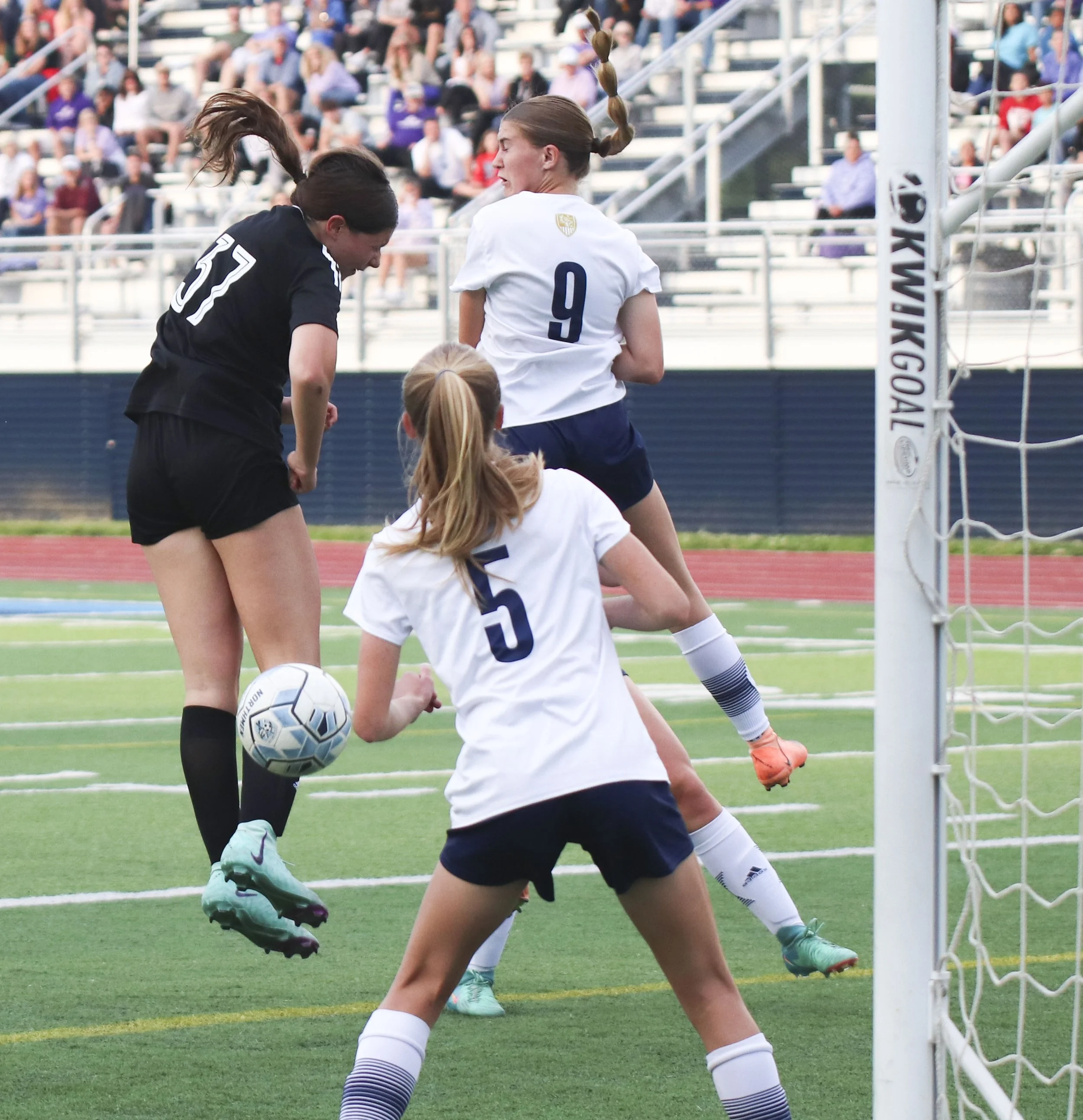 corner - savanna pittman_1.jpg