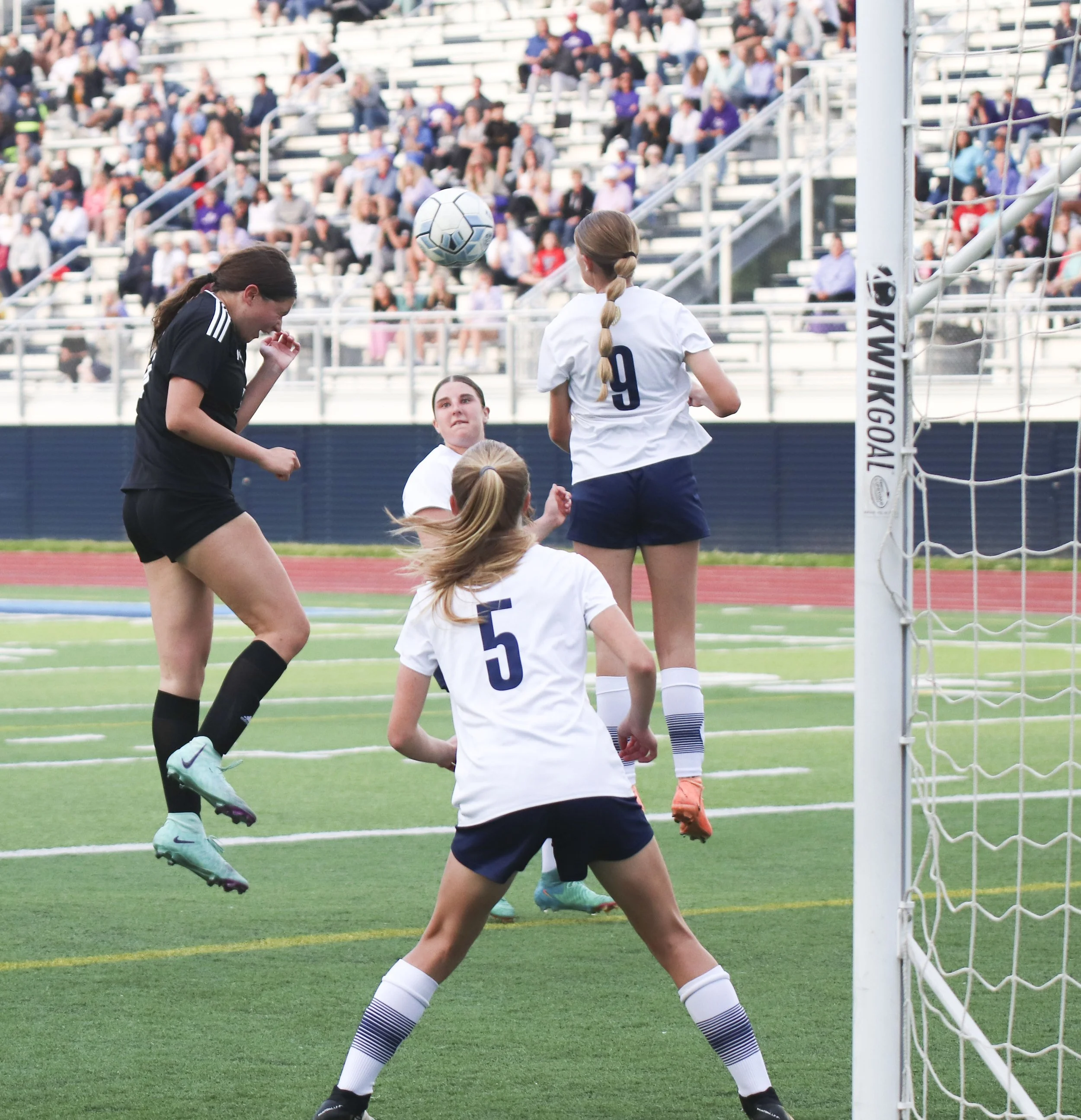 corner - savanna pittman.jpg