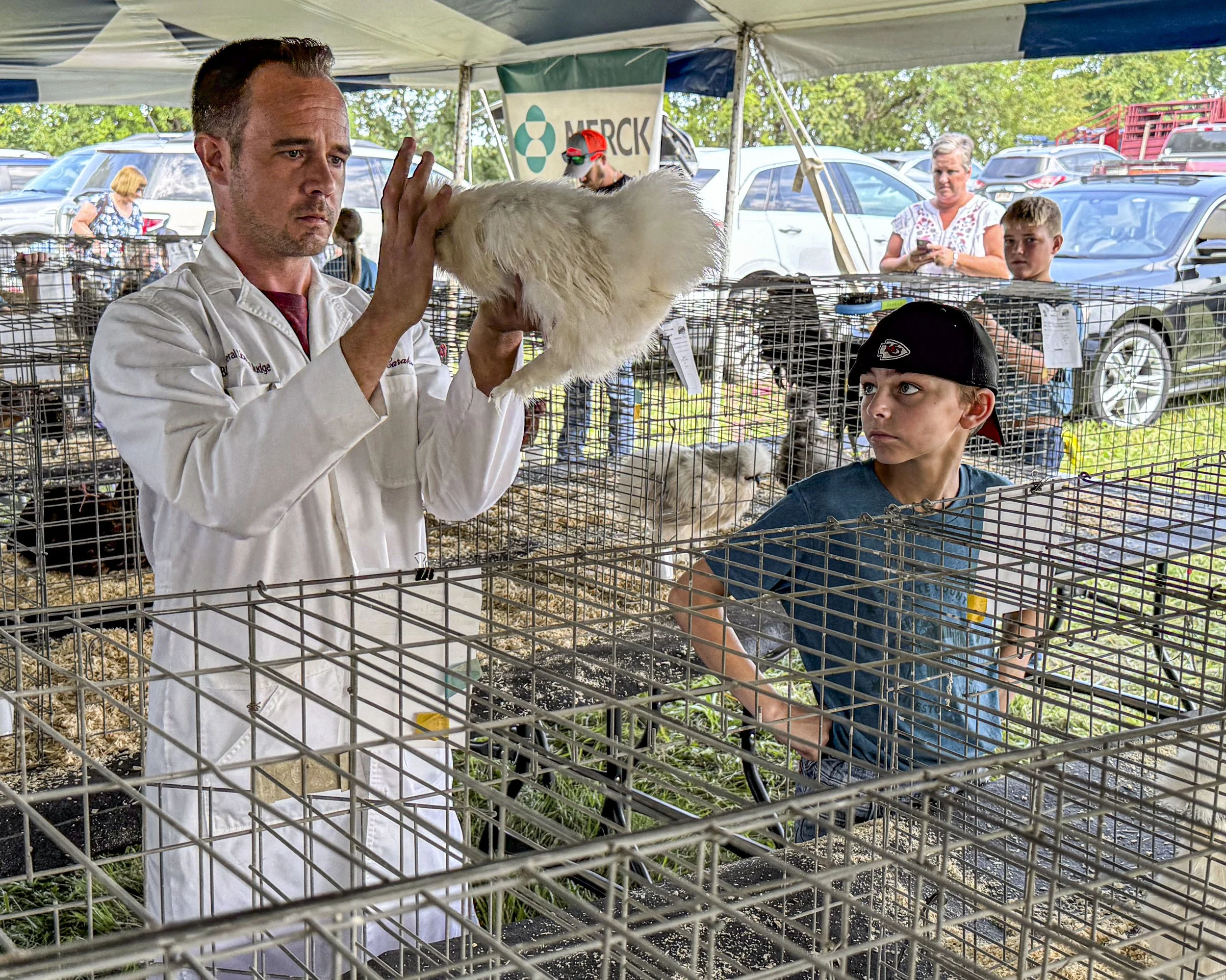 Chicken Show 10.jpg