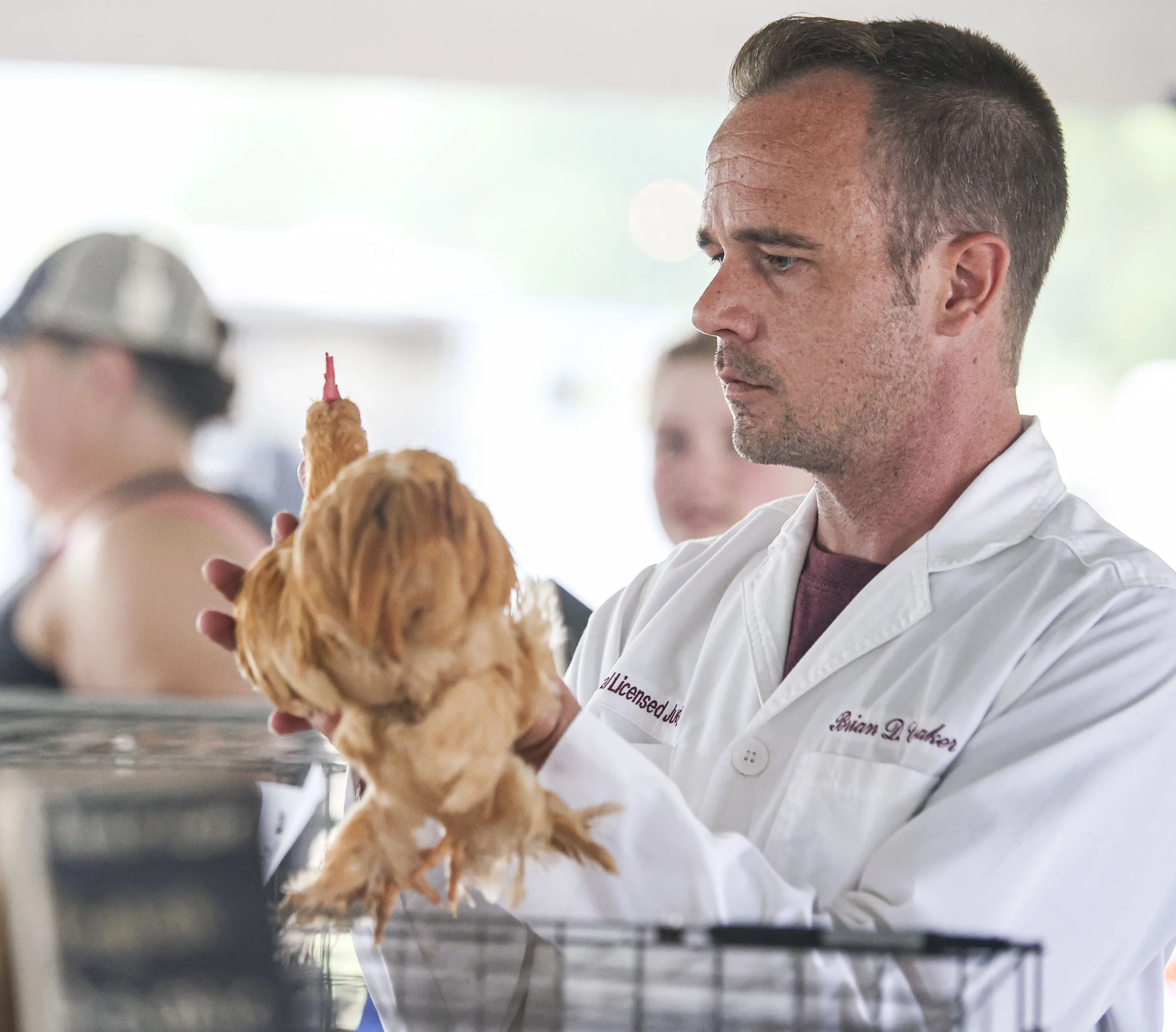 Chicken Show.jpg