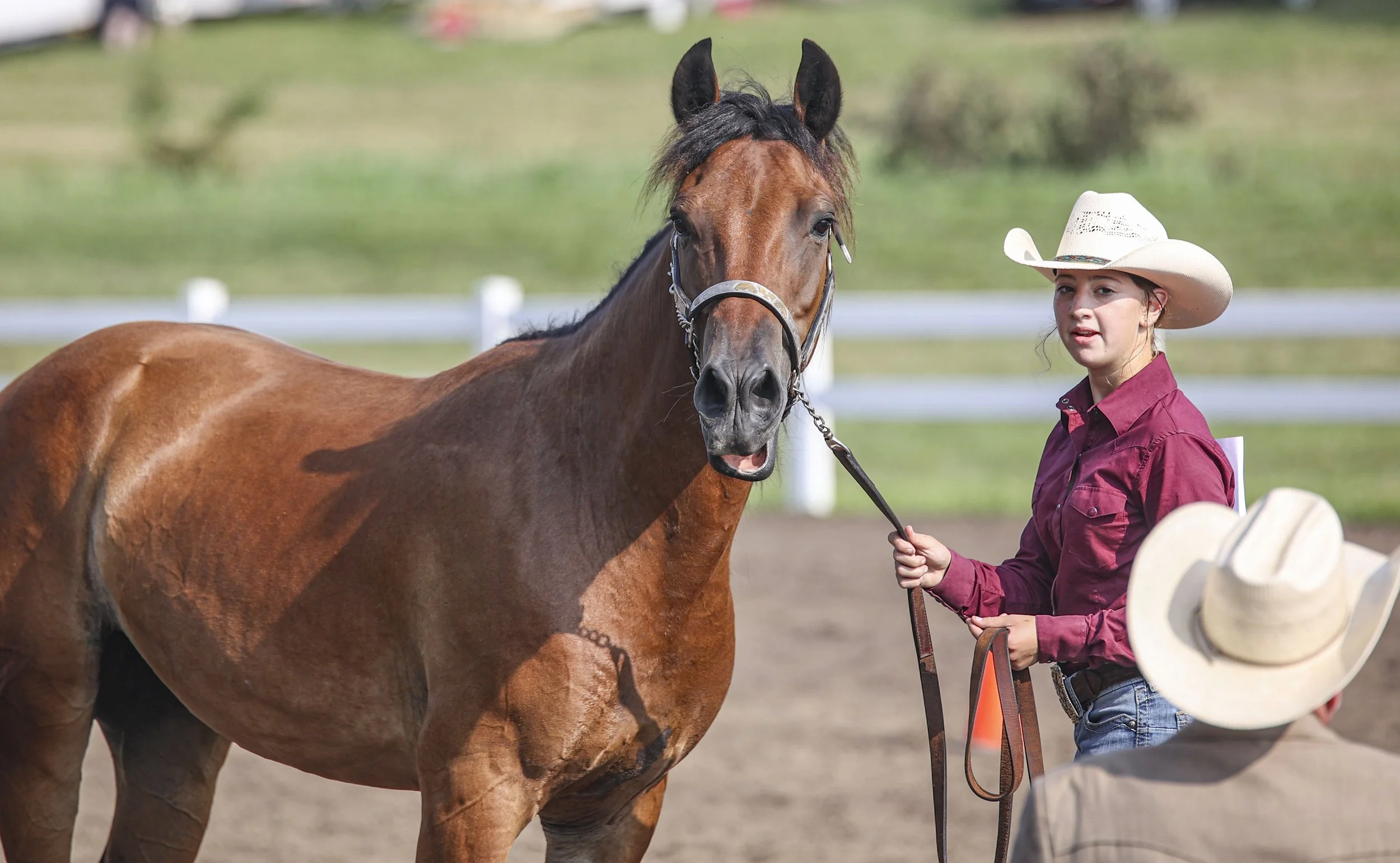 Horse Show_1.jpg