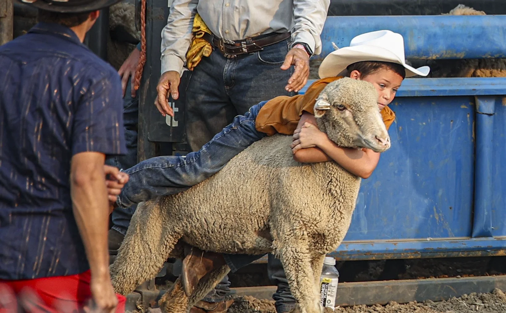 Rodeo_1.jpg