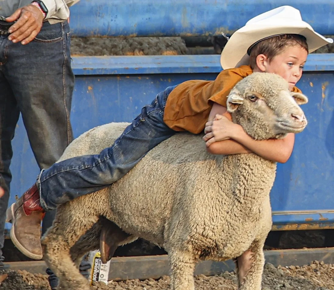 Rodeo_3.jpg