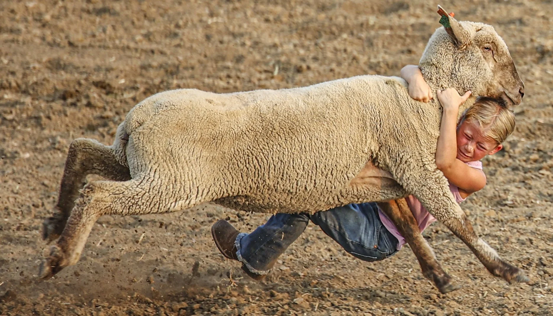 Rodeo_6.jpg