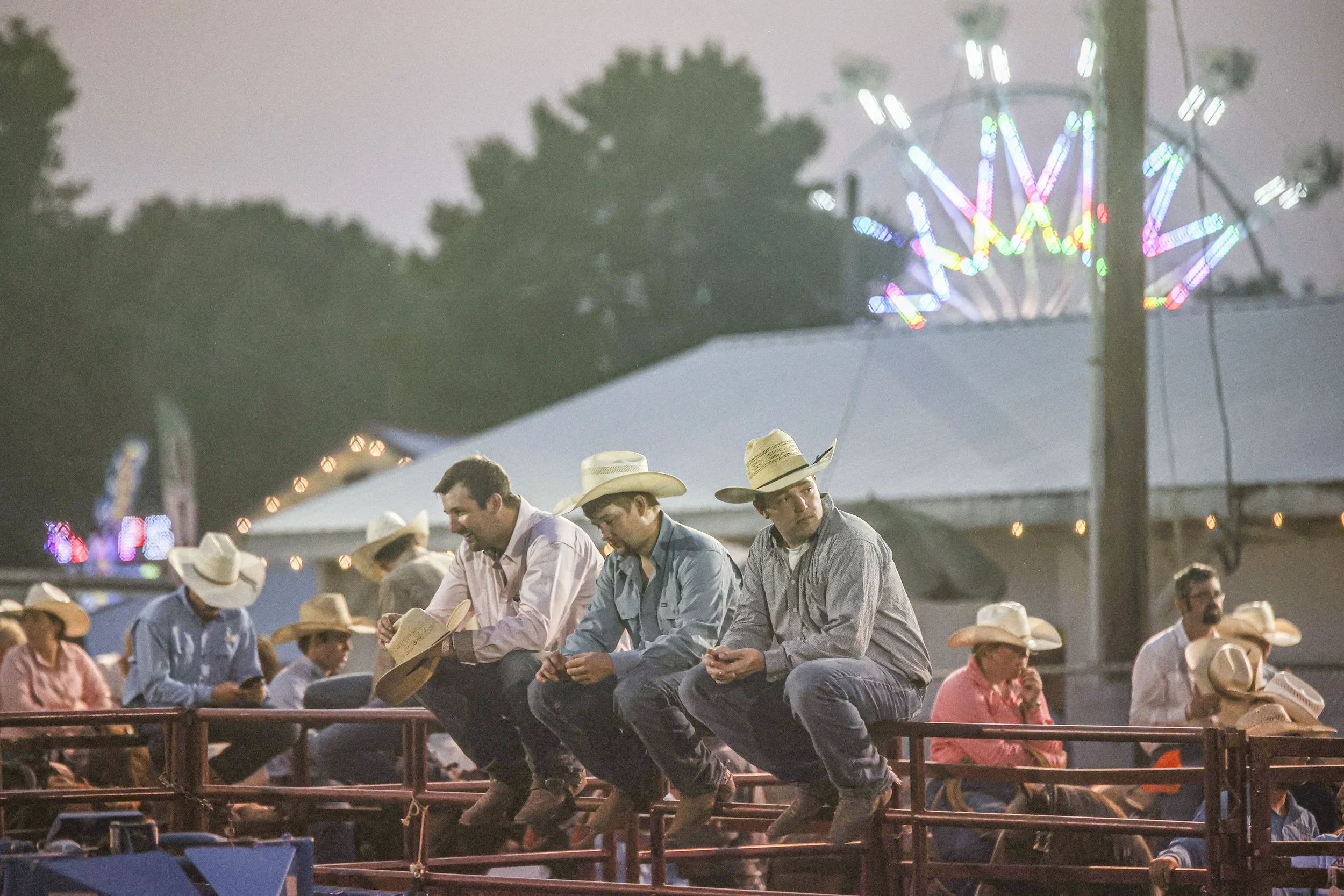 Rodeo_8.jpg
