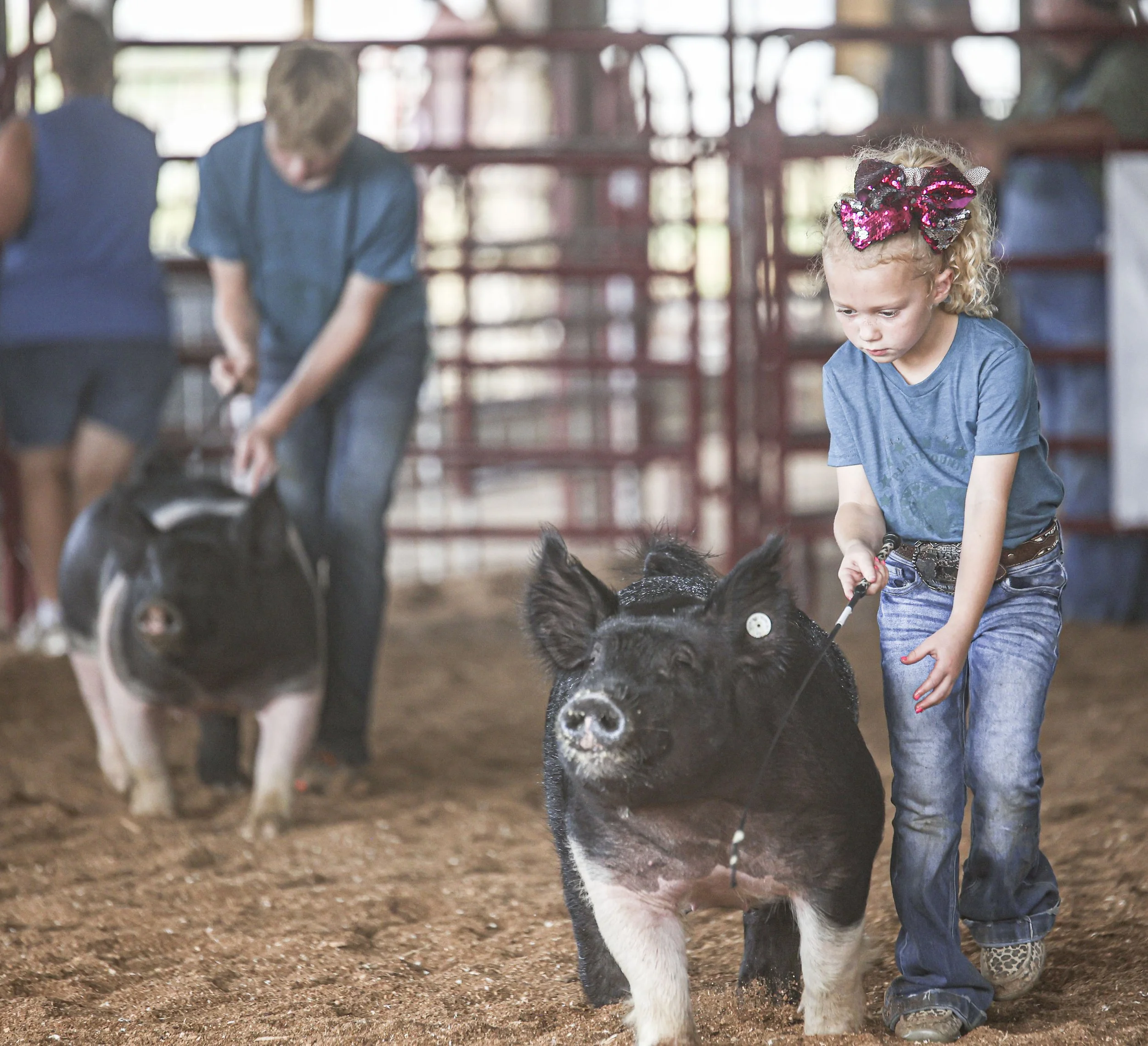 Swine Show_3.jpg